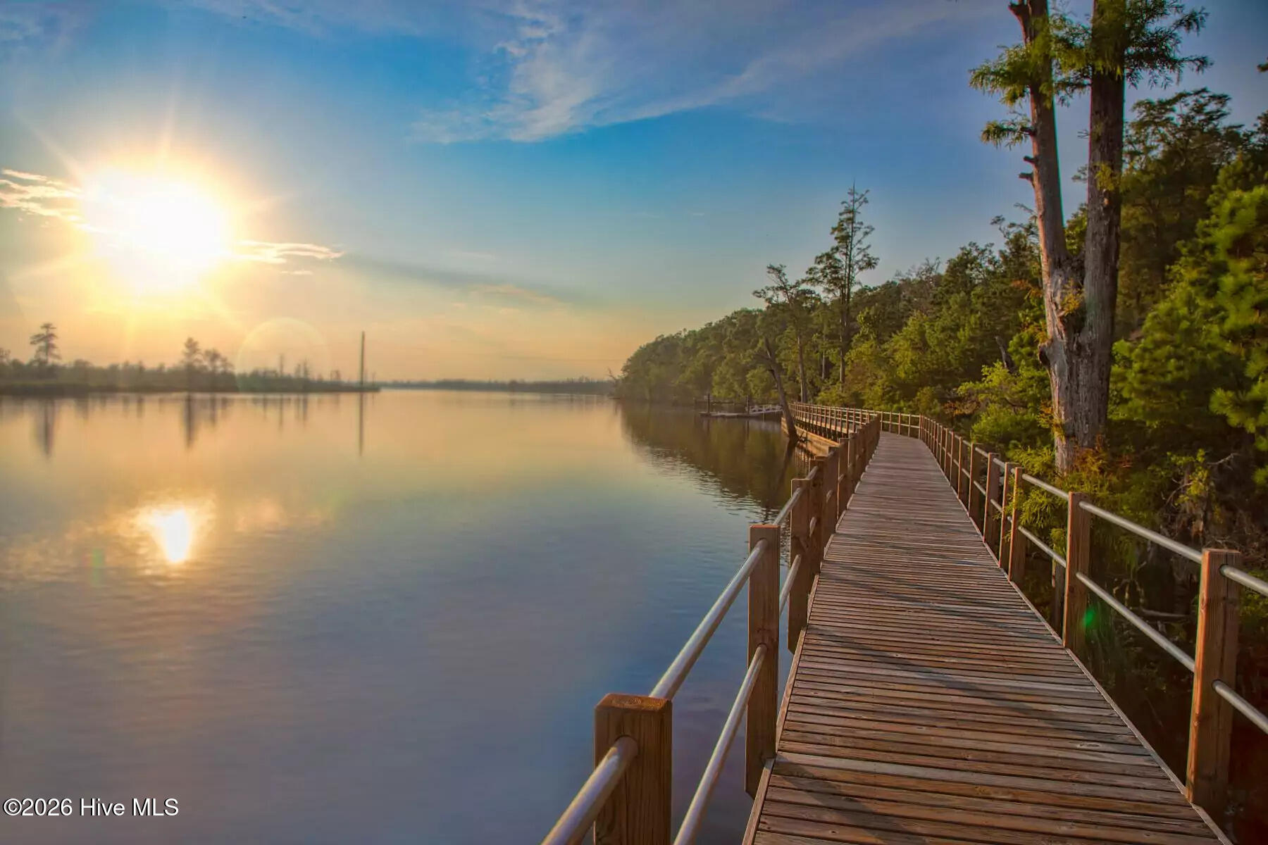 100568555 | Photo 52