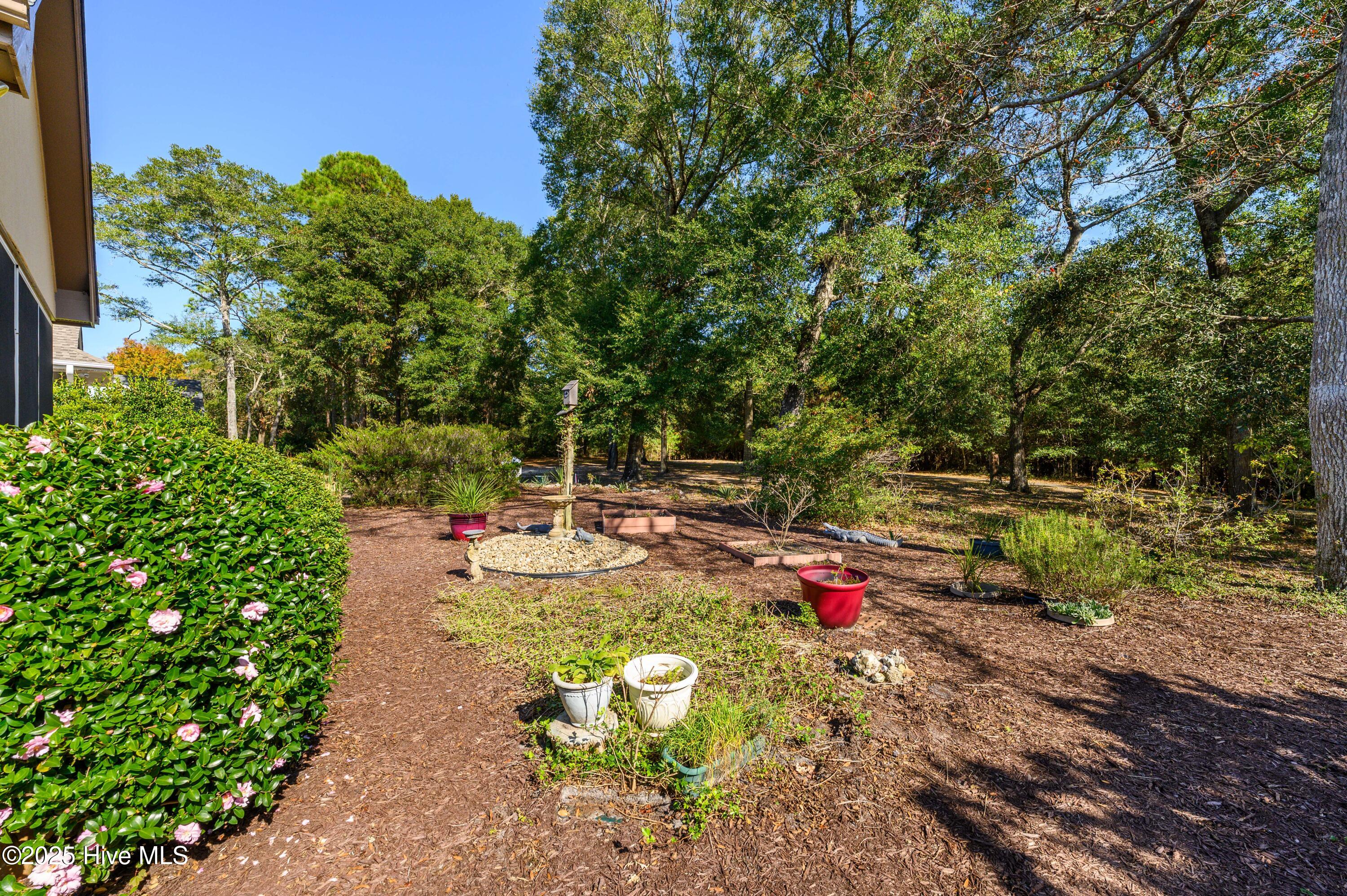 100541509 | Photo 35