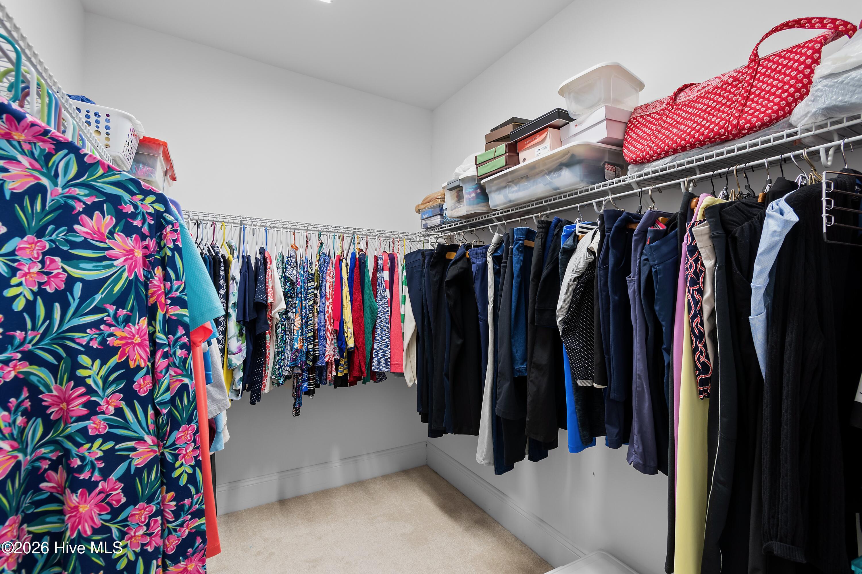 100554083 | Photo 26