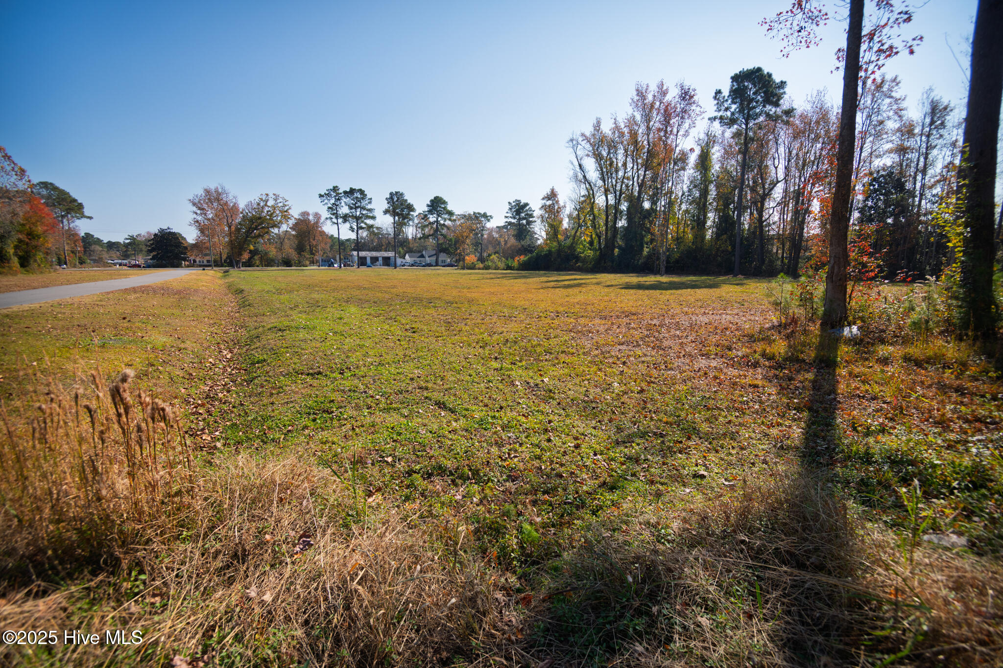 100543499 | Photo 11