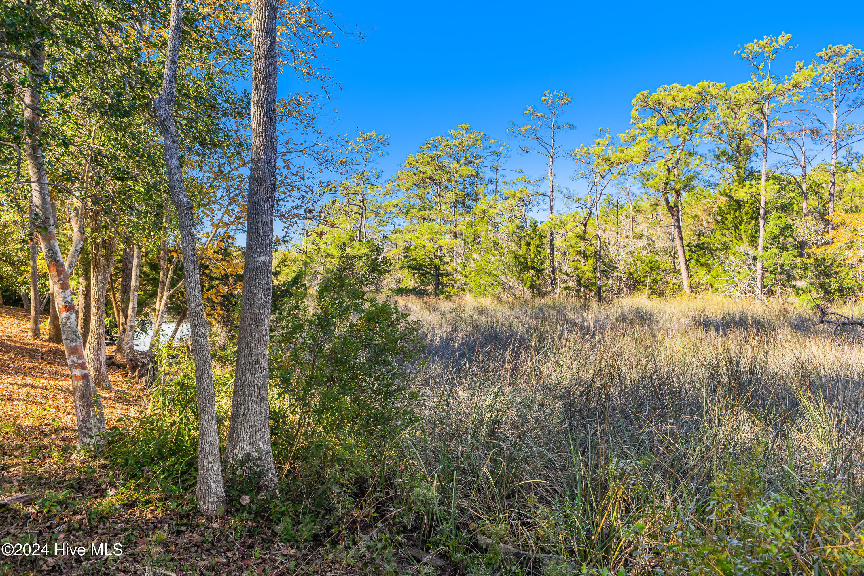 100478878 | Photo 30