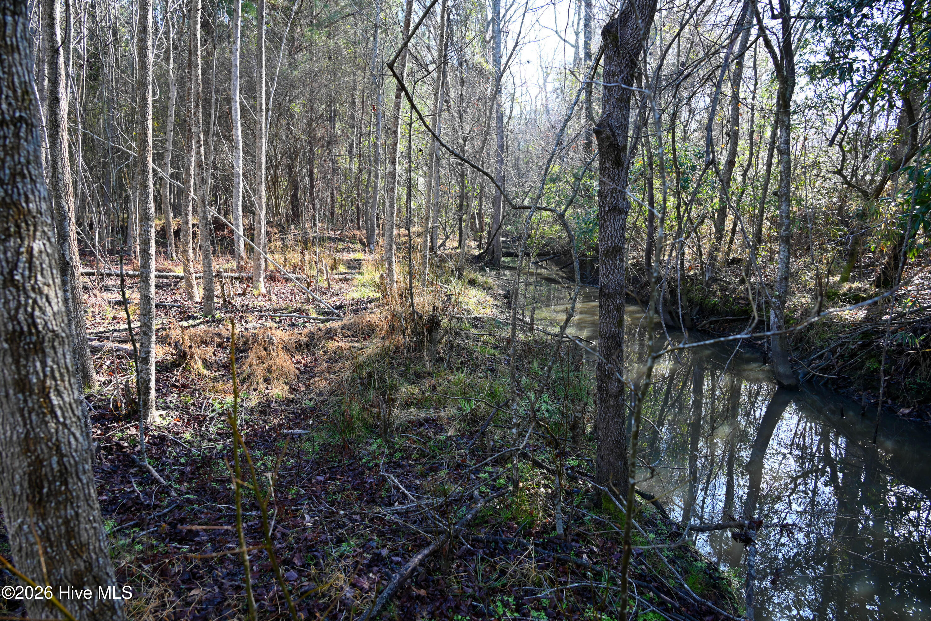 100560038 | Photo 22