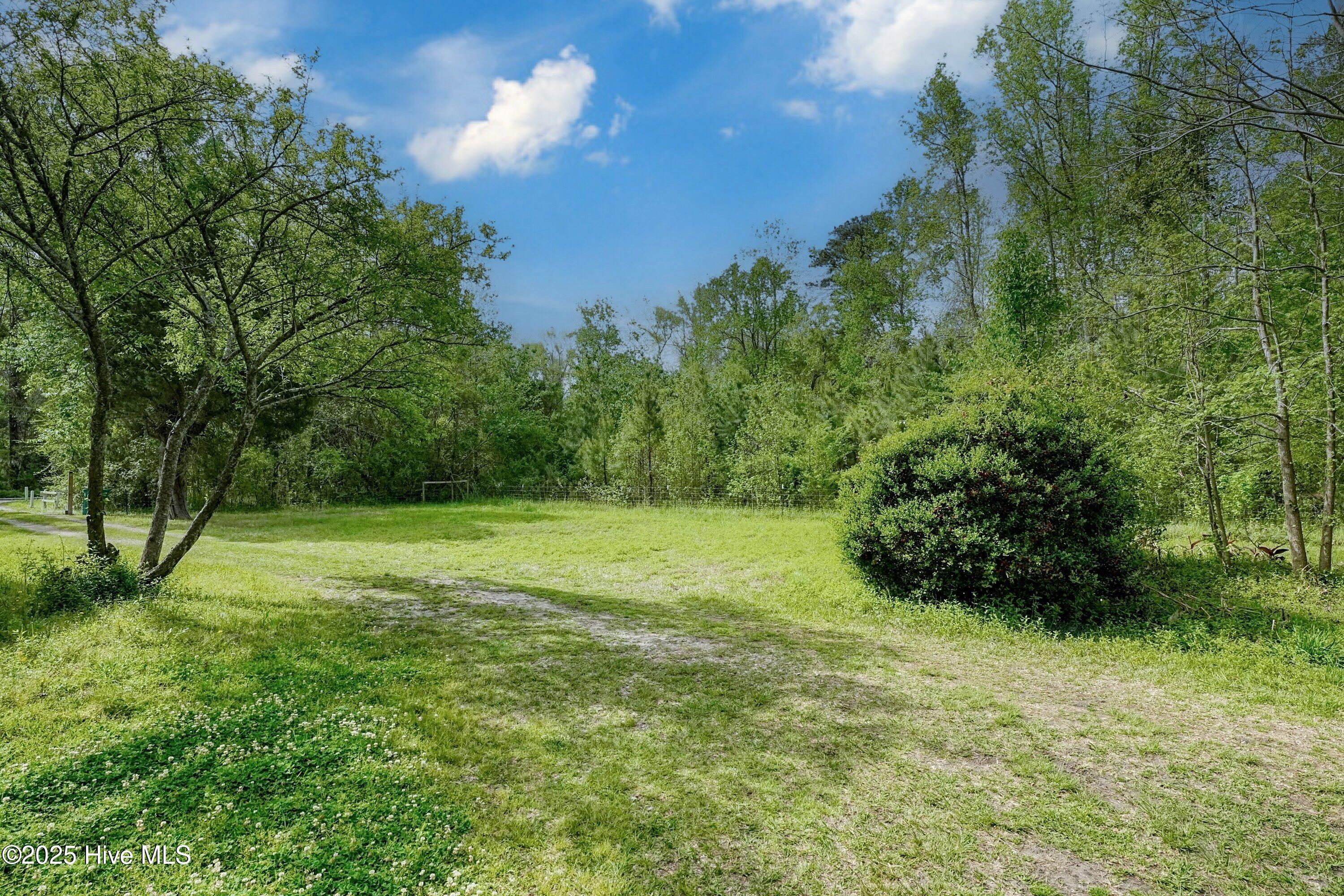 100500316 | Photo 17