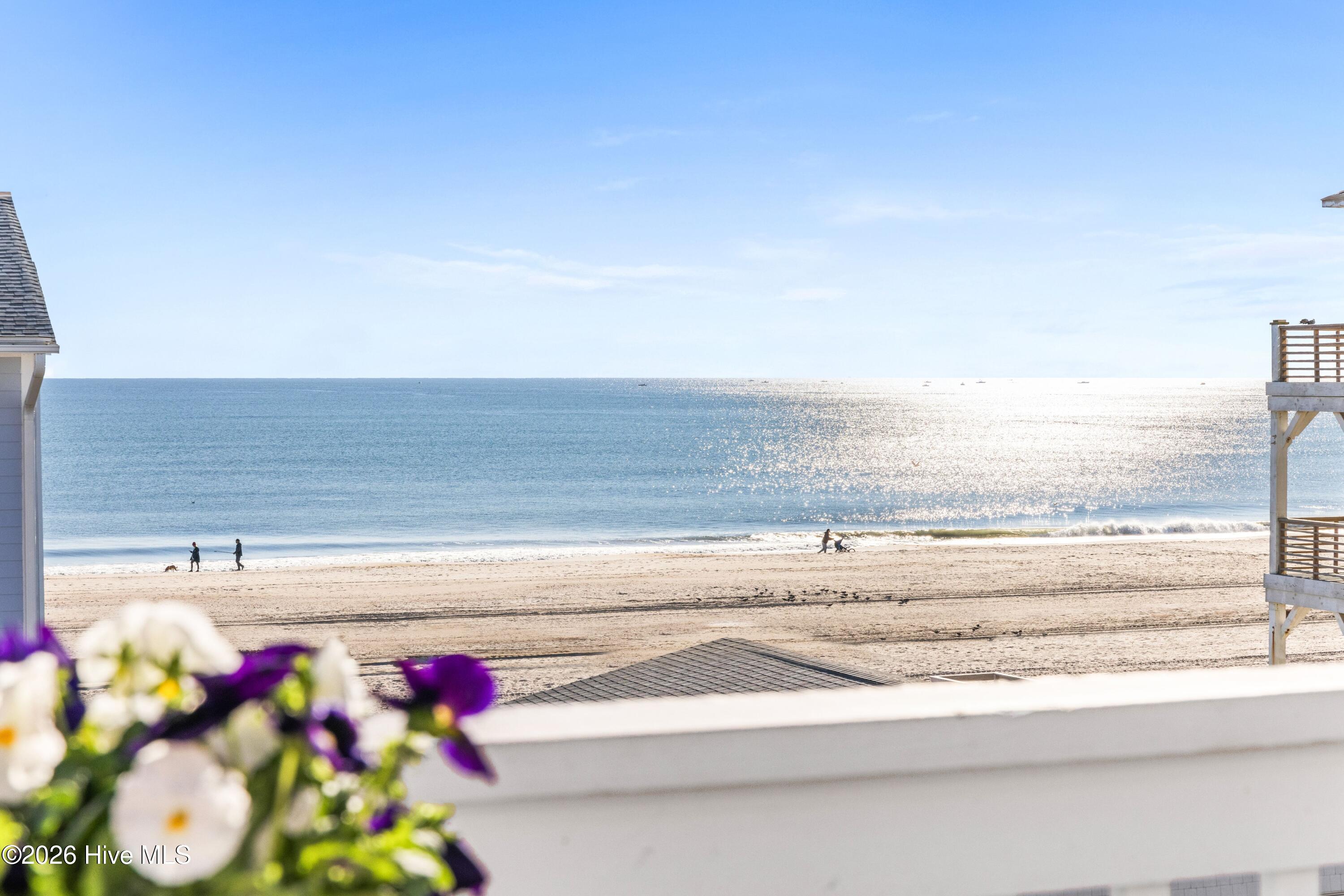 100549239 | Photo 25