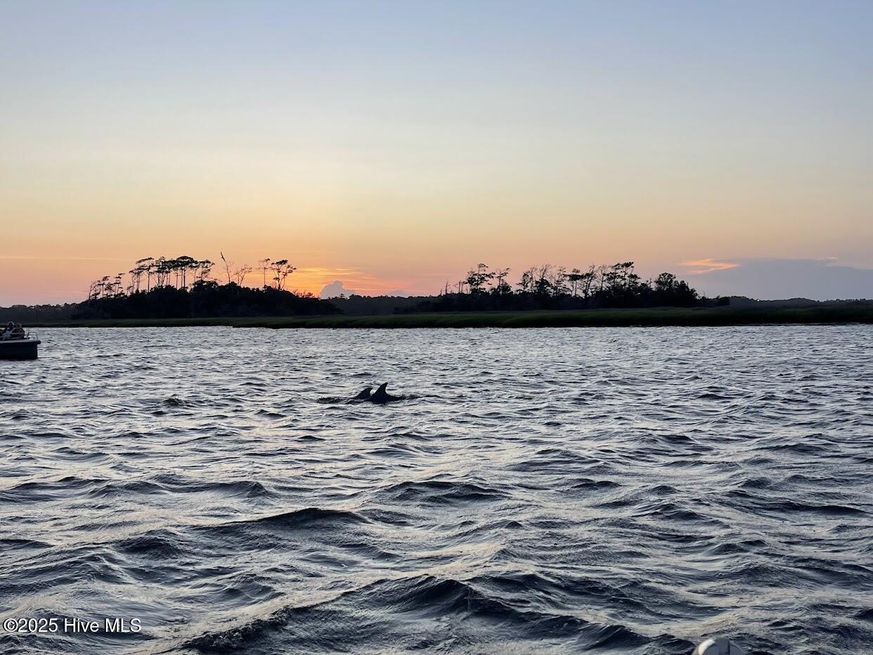 100546461 | Photo 52