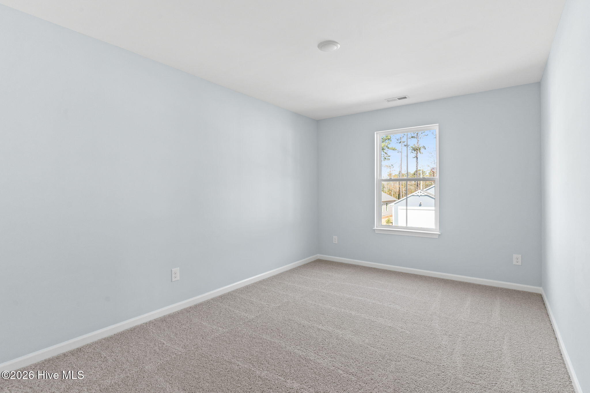 100534637 | Photo 18