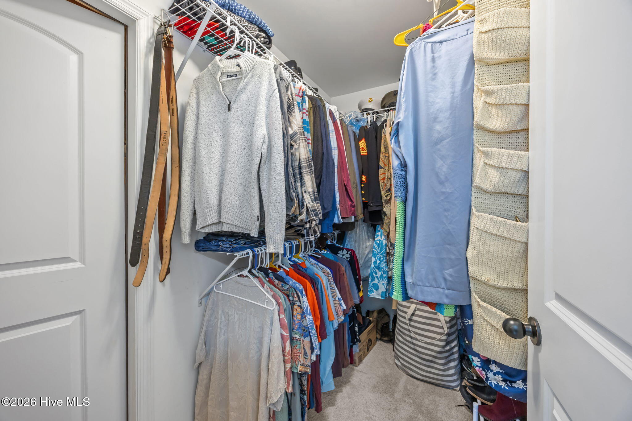 100558609 | Photo 26