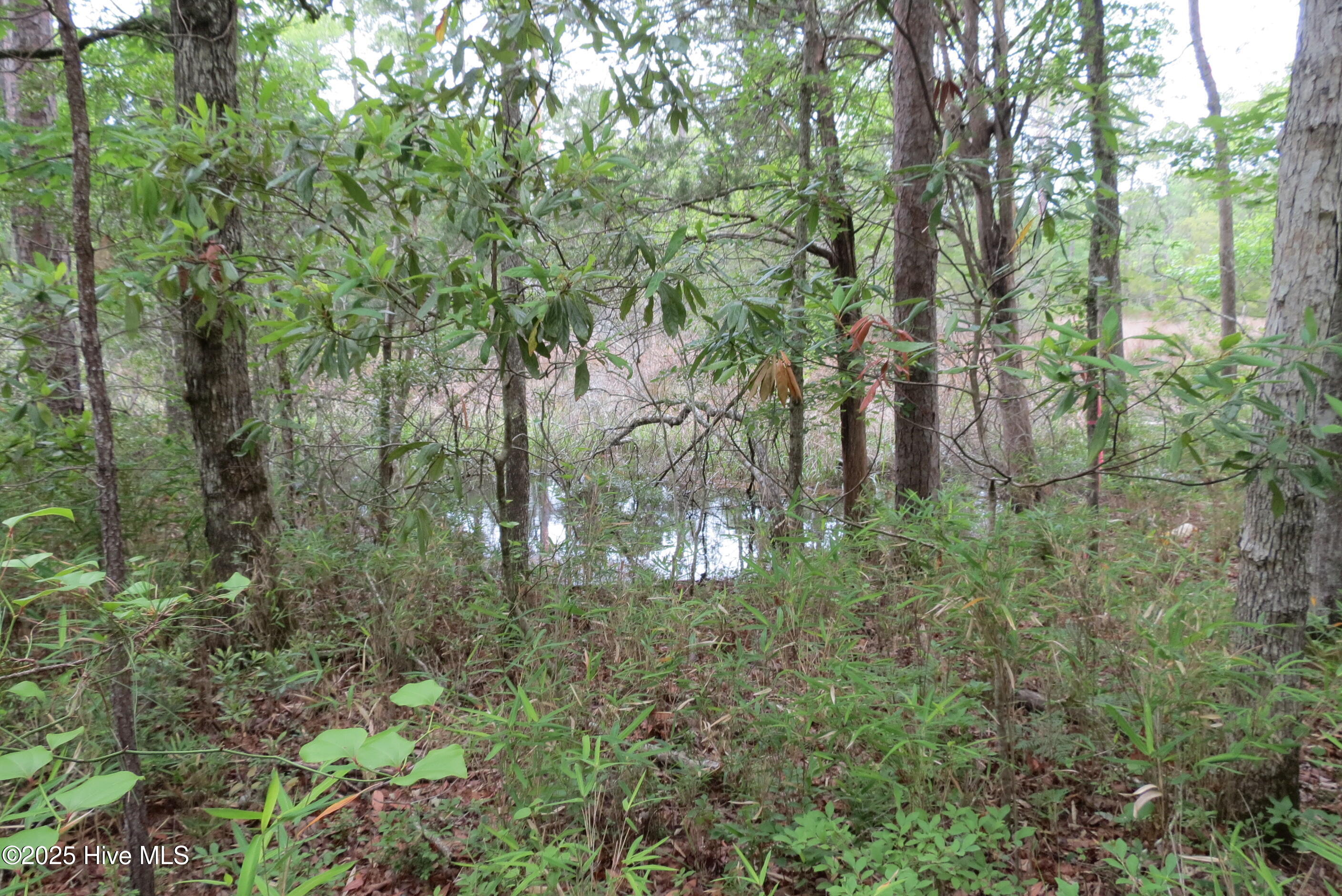 117 Shoreline, Oriental, North Carolina, 0 ,Residential land,For sale,Shoreline,100510142