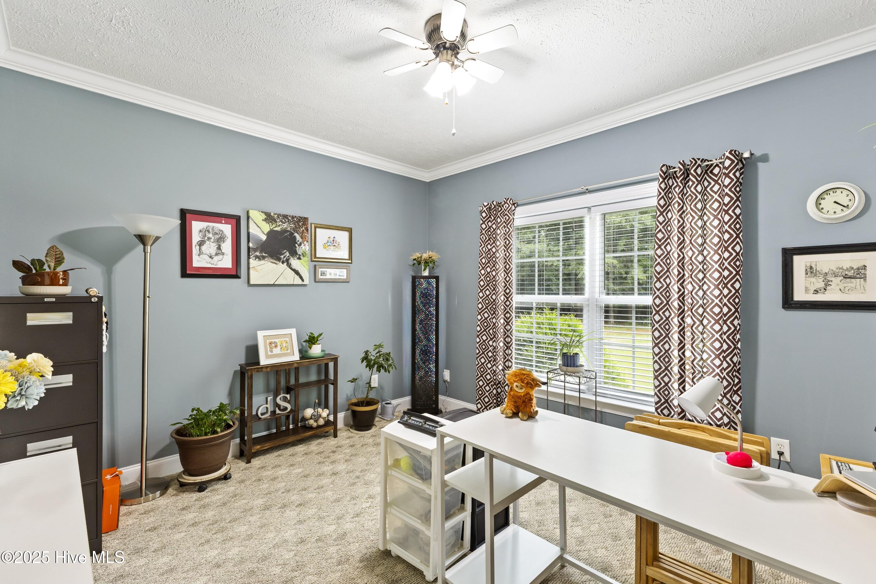 2150 Nc 58, Castalia, NC, 27816