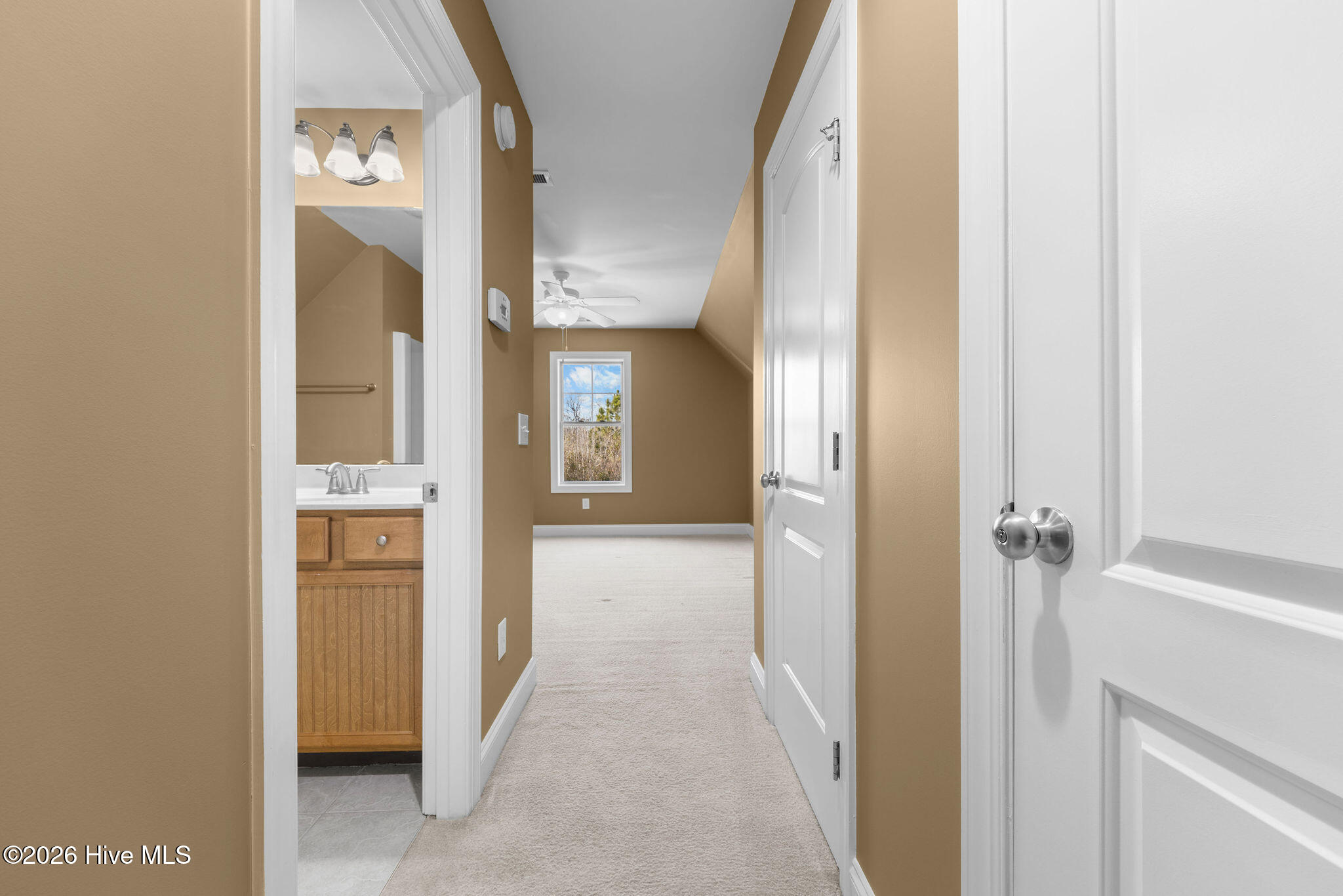 100552477 | Photo 35