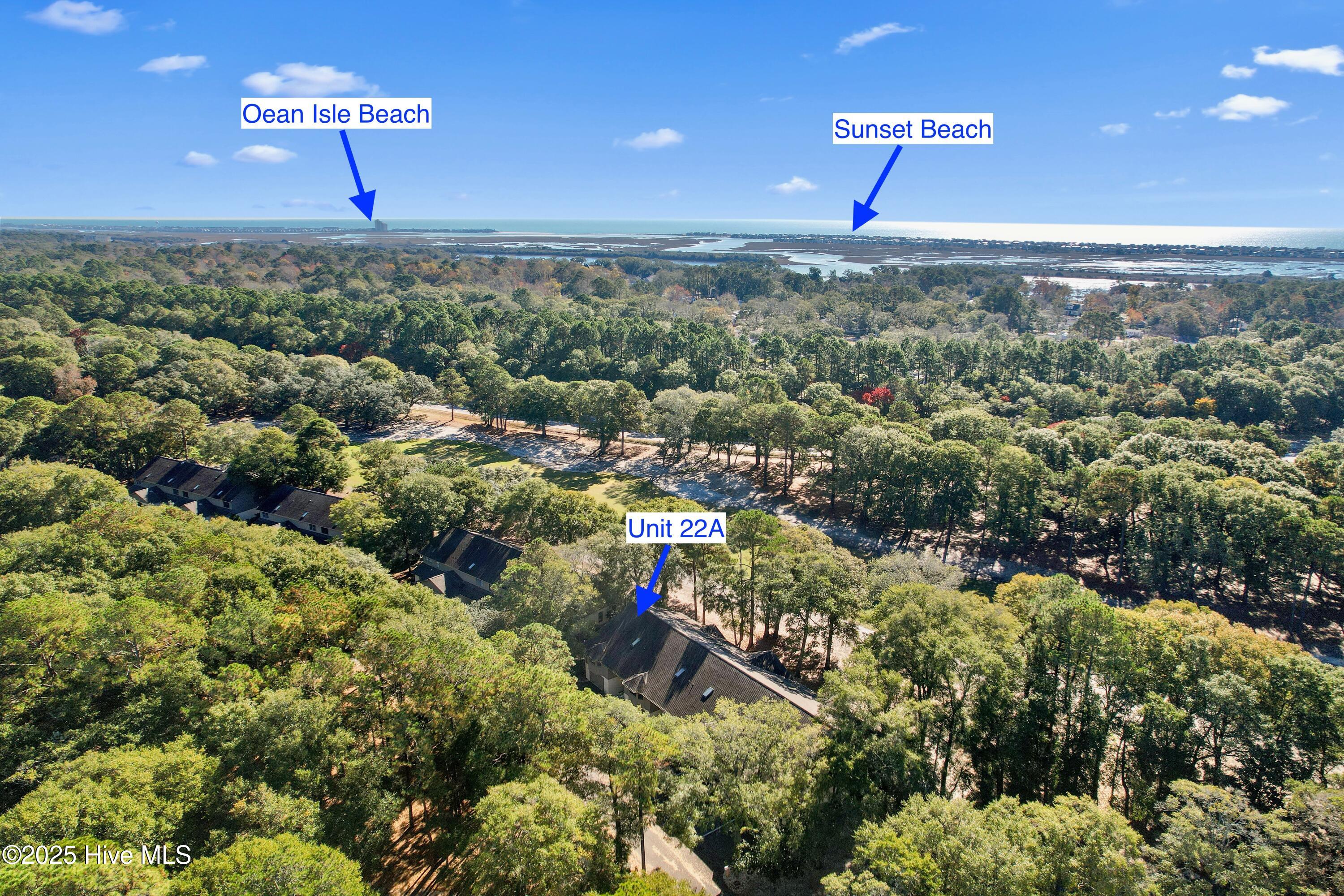 100544221 | Photo 49