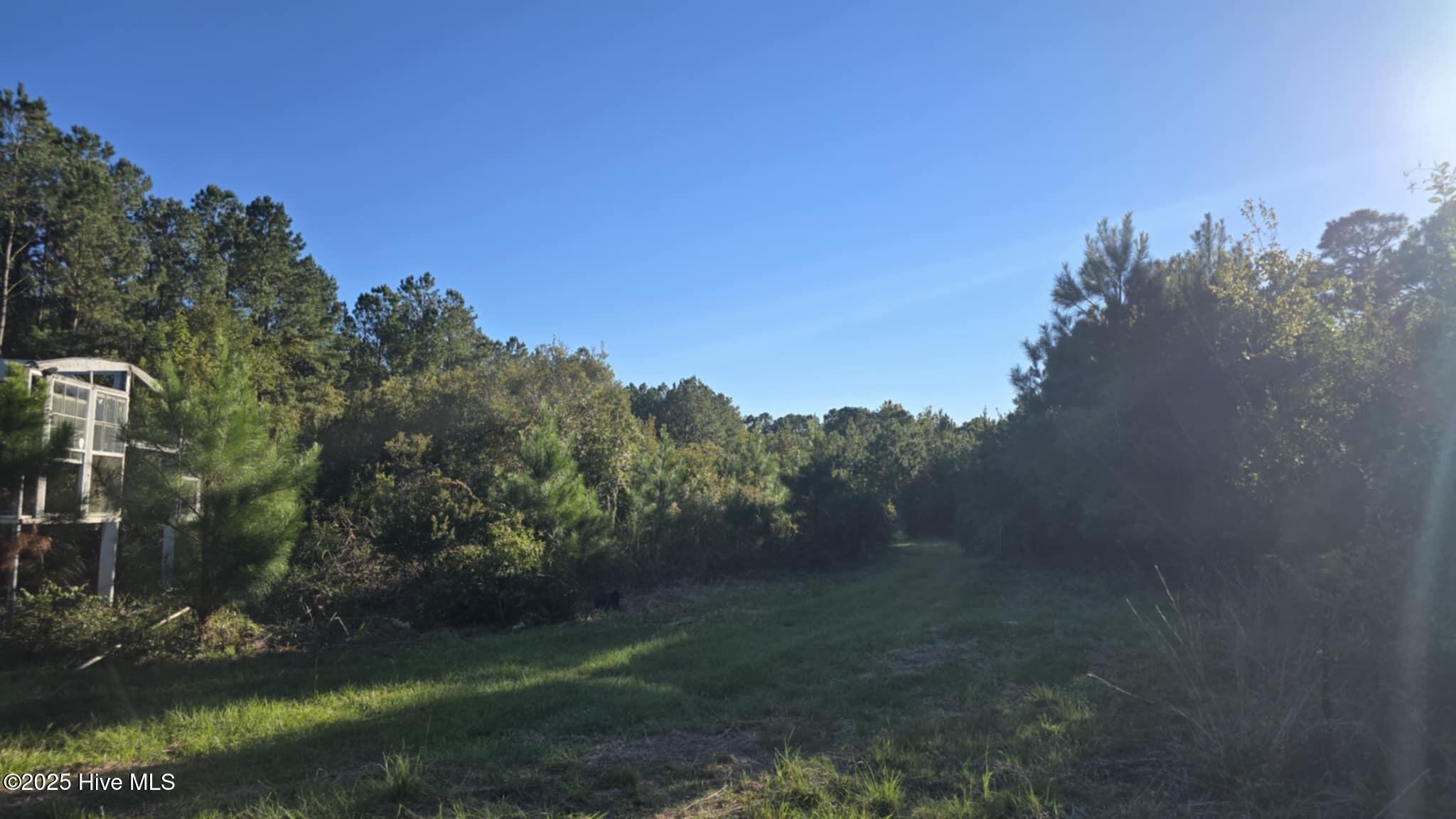 100538162 | Photo 10