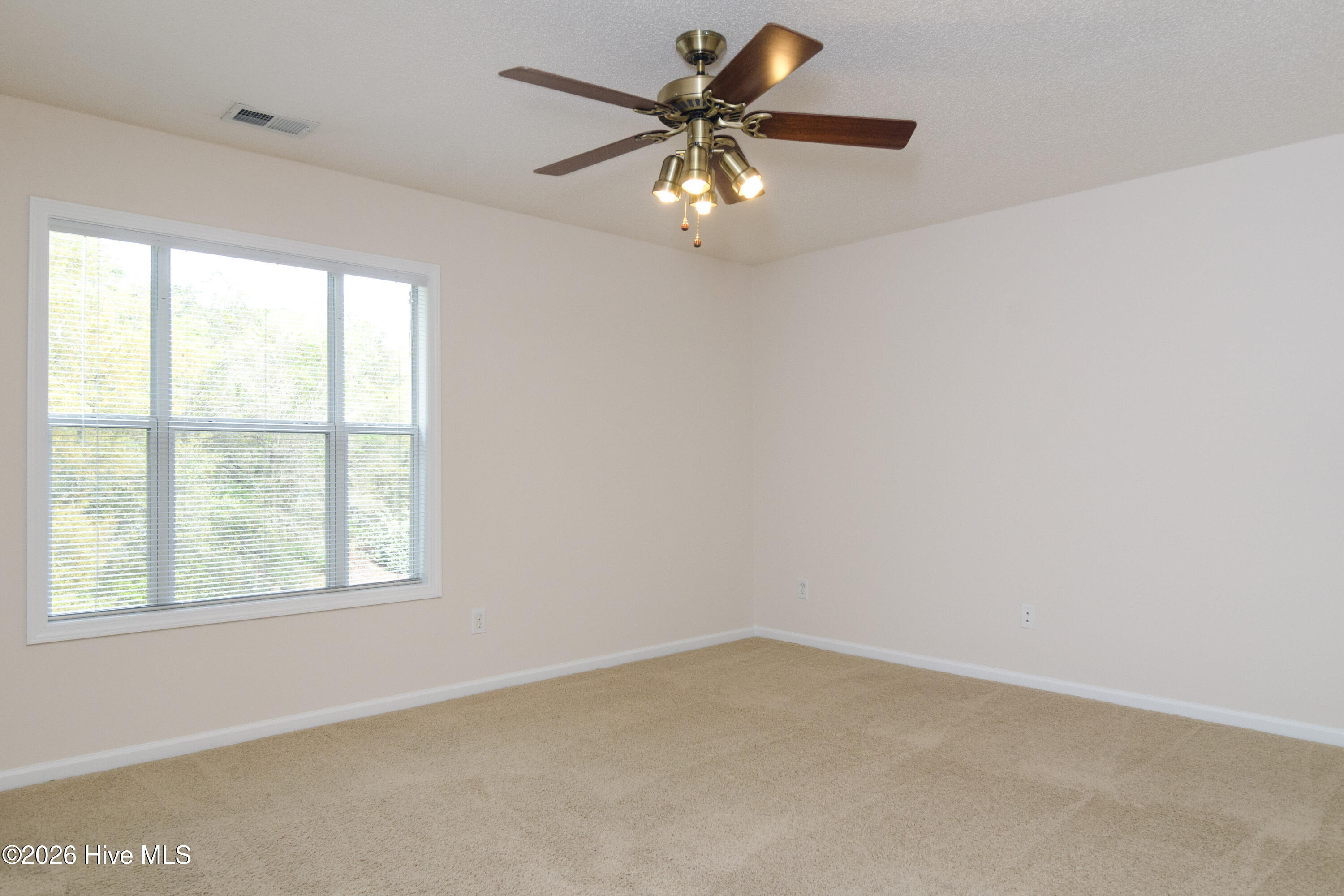 100564774 | Photo 11