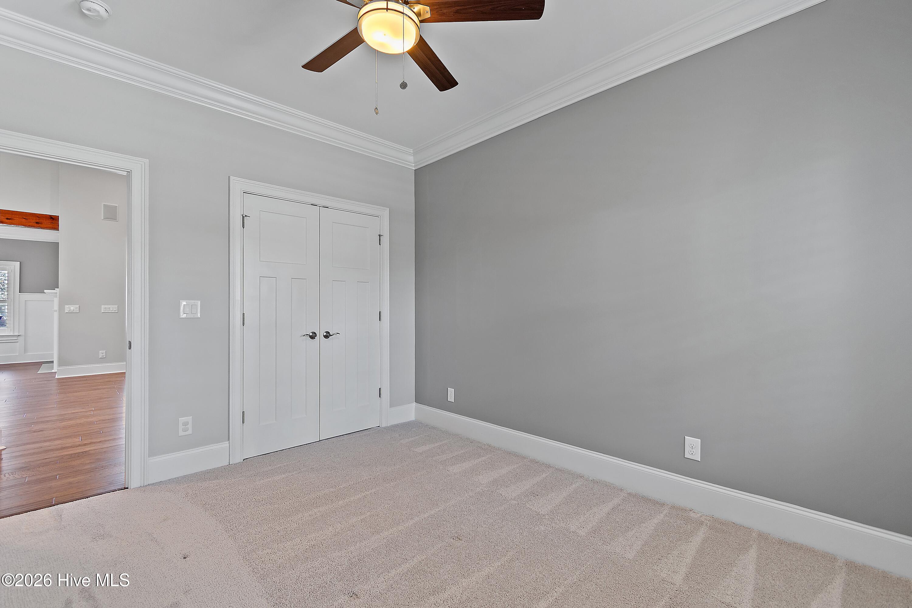 100564386 | Photo 29