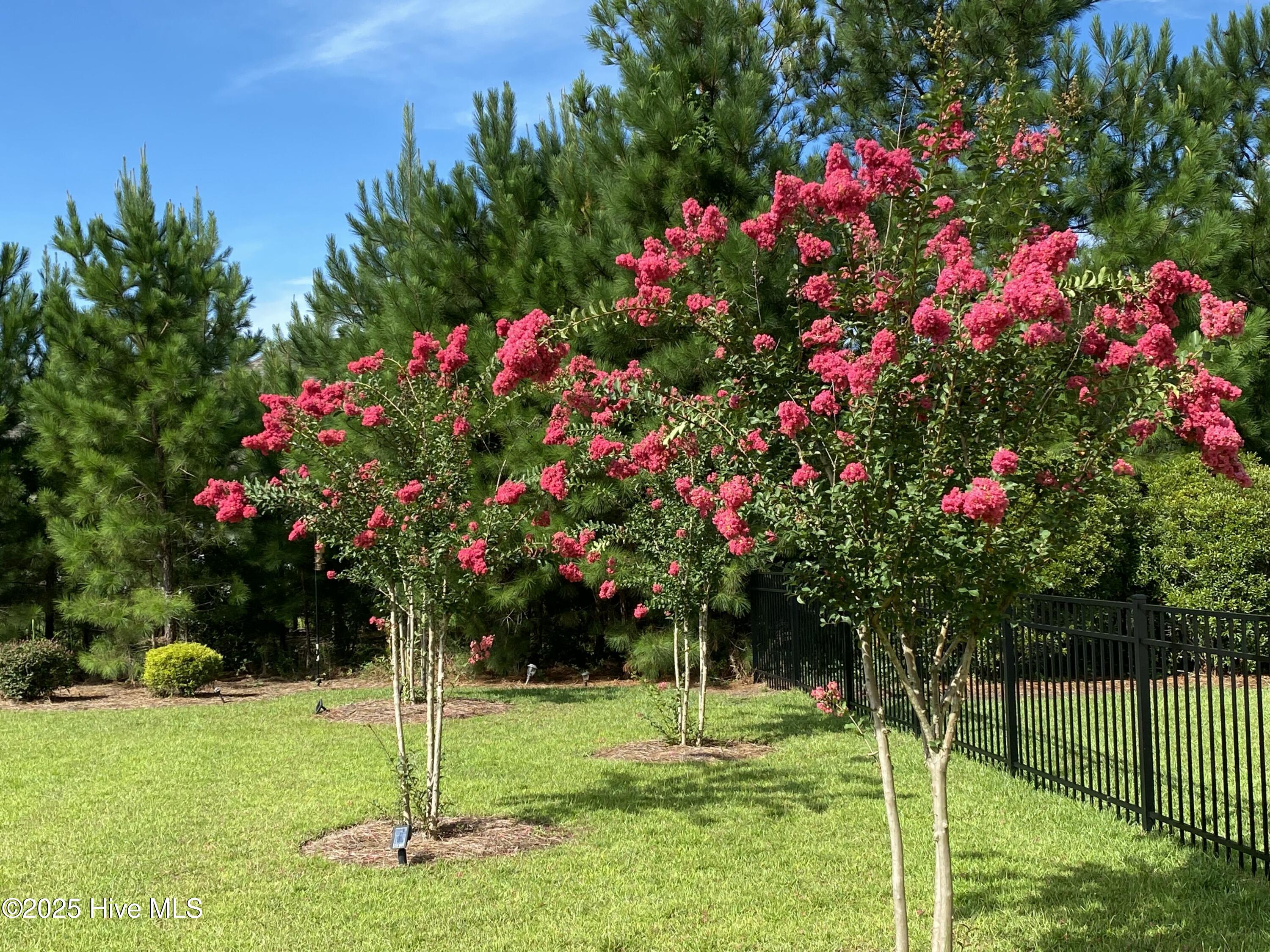 100529992 | Photo 40