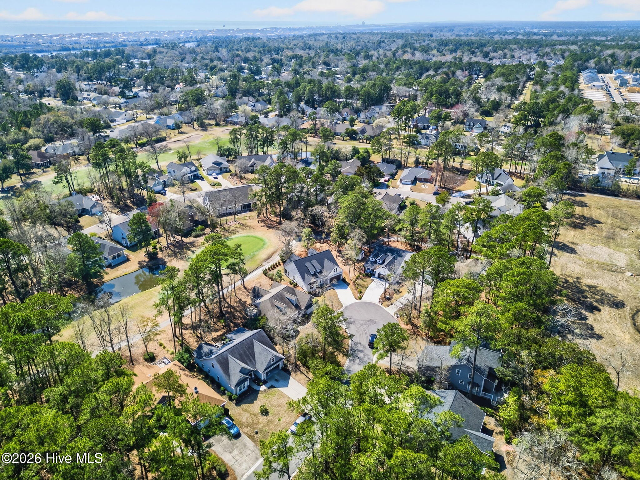 100559377 | Photo 39