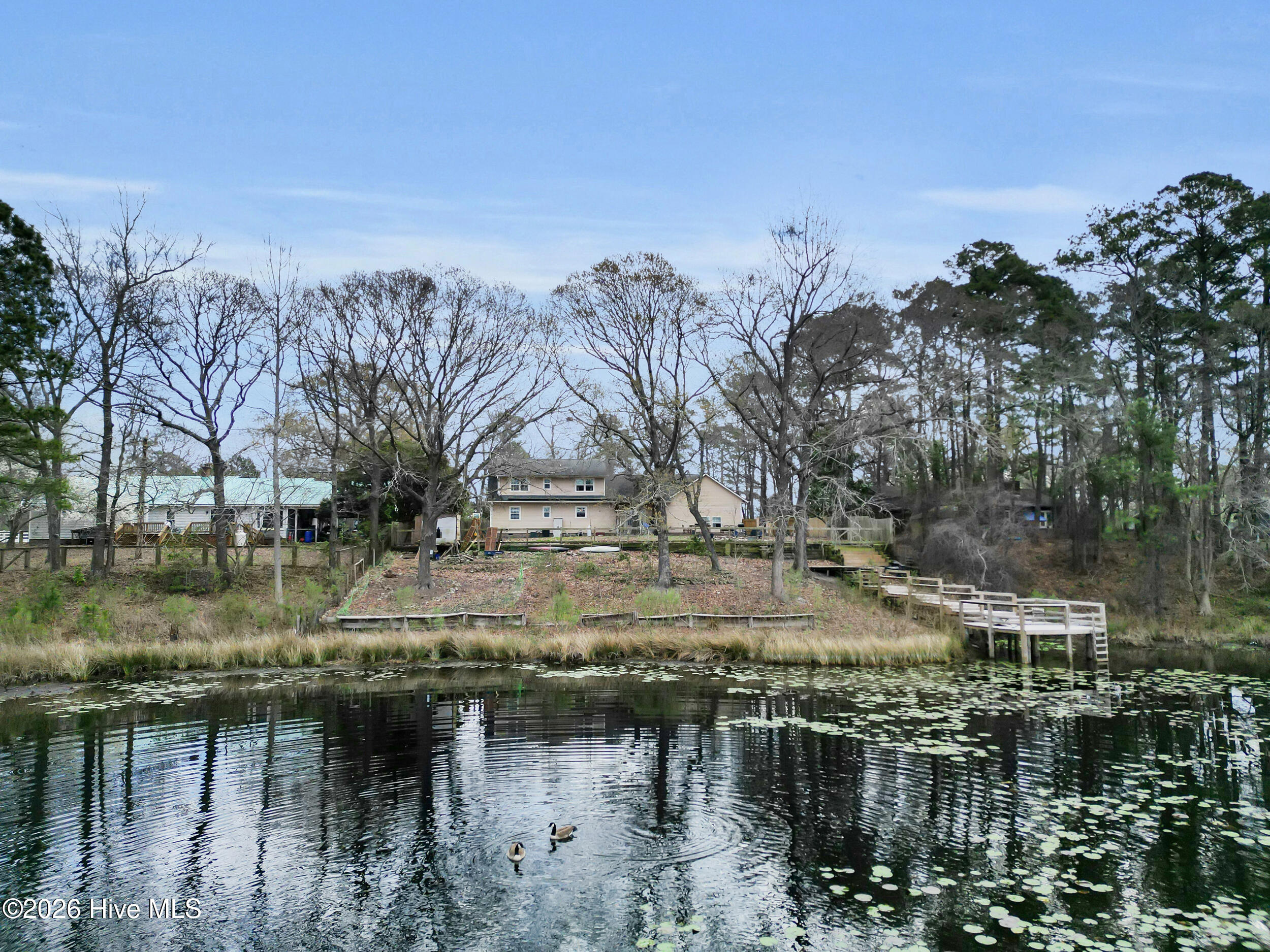 100560236 | Photo 38