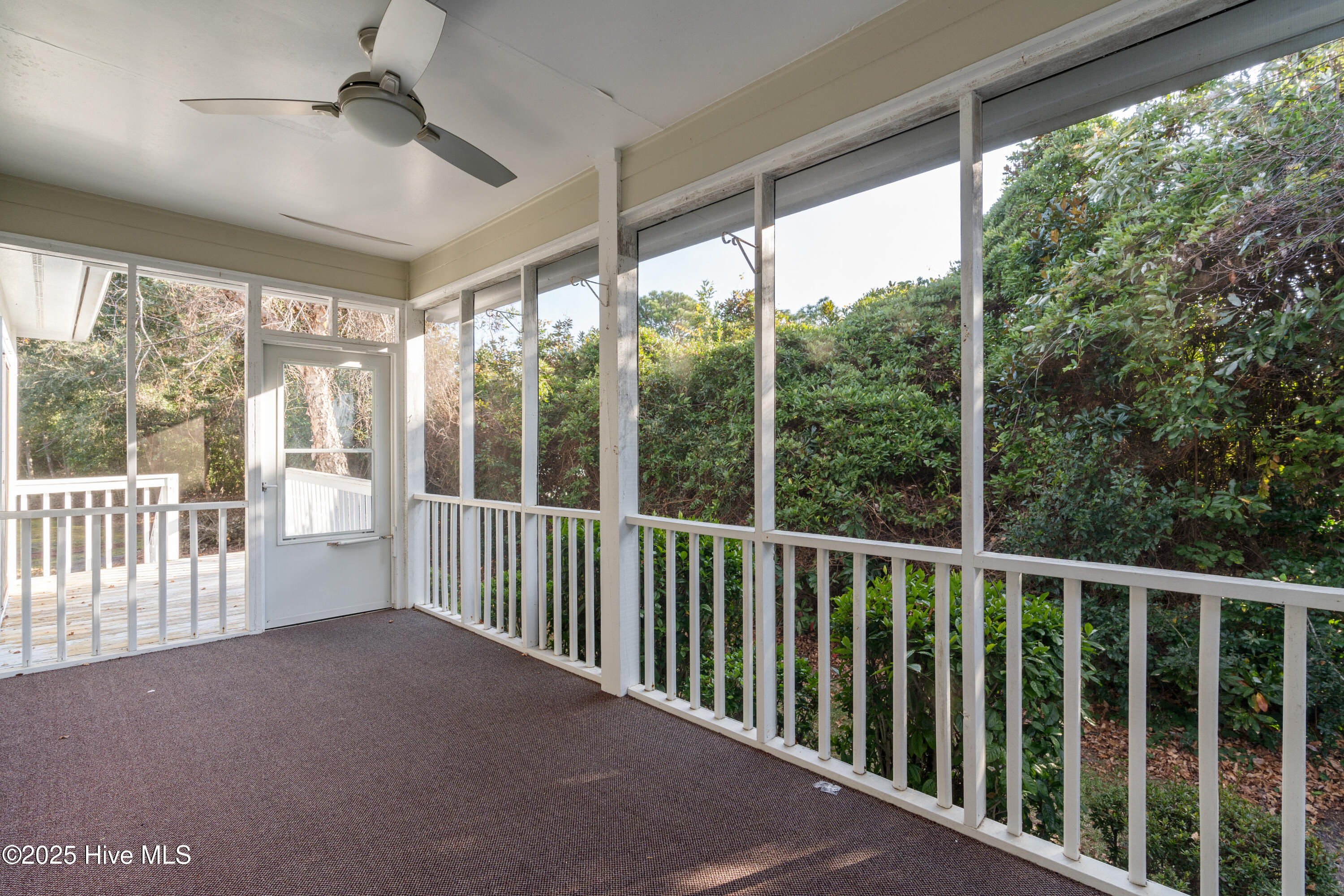 100543647 | Photo 14