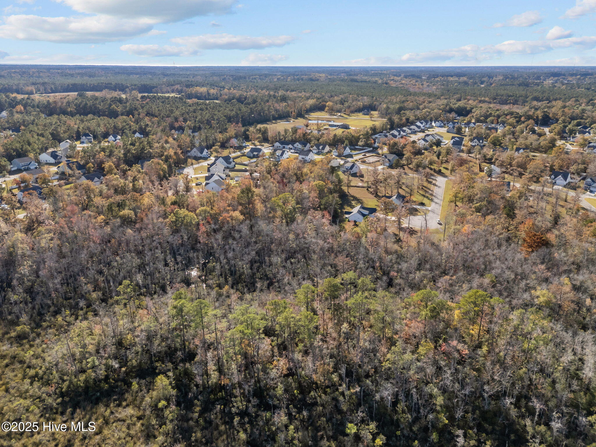 100540368 | Photo 16