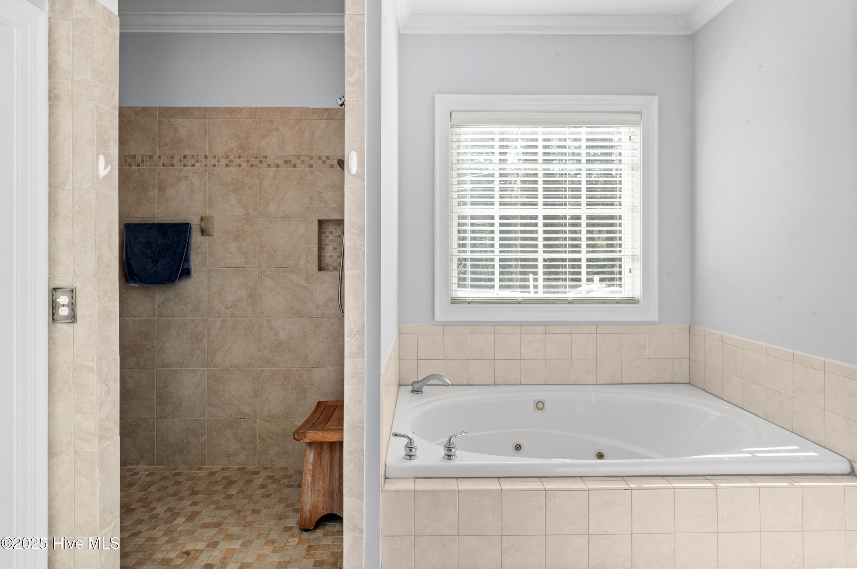 100538387 | Photo 26