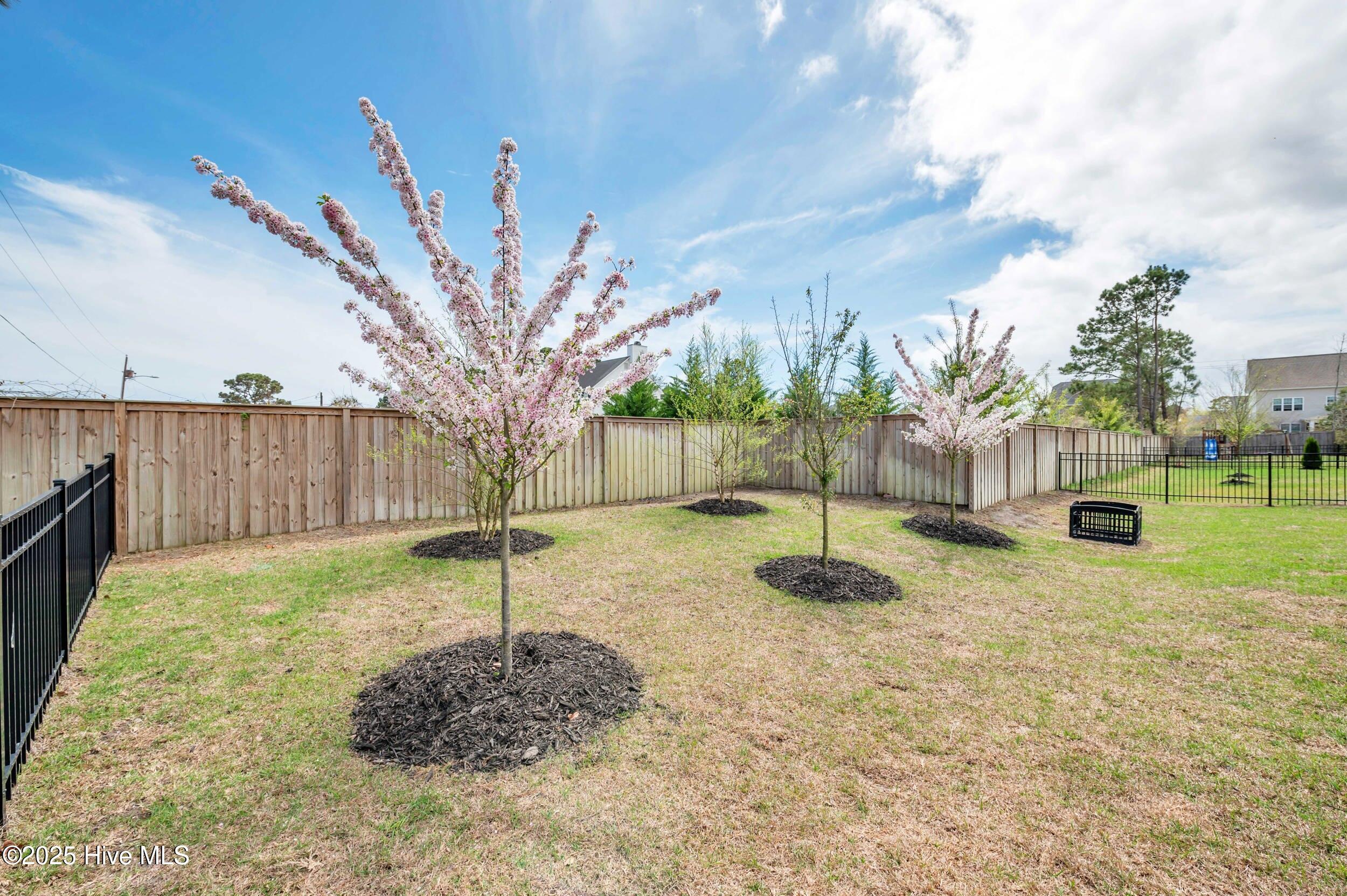 100520881 | Photo 37