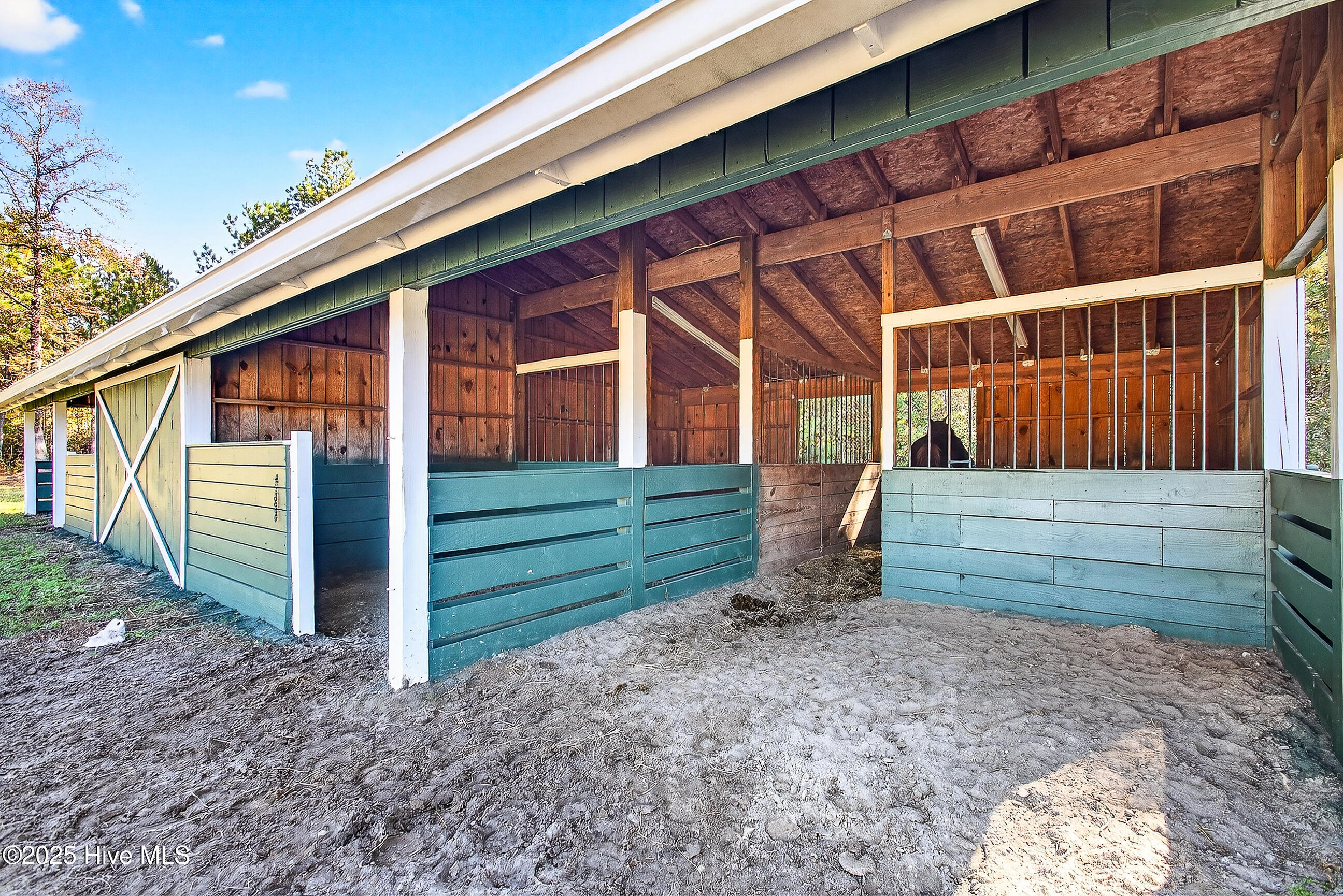 100540143 | Photo 47