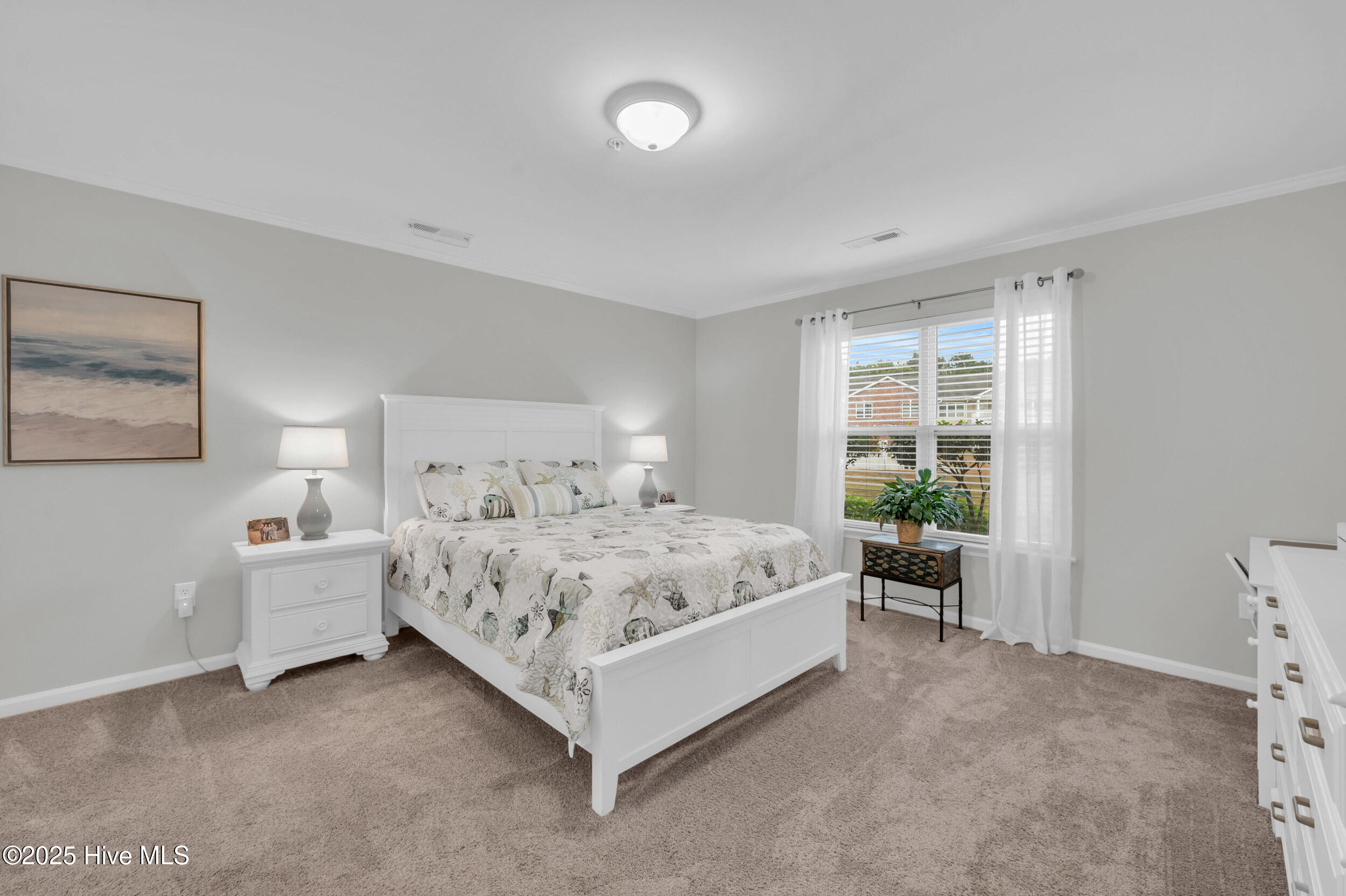 100538777 | Photo 13