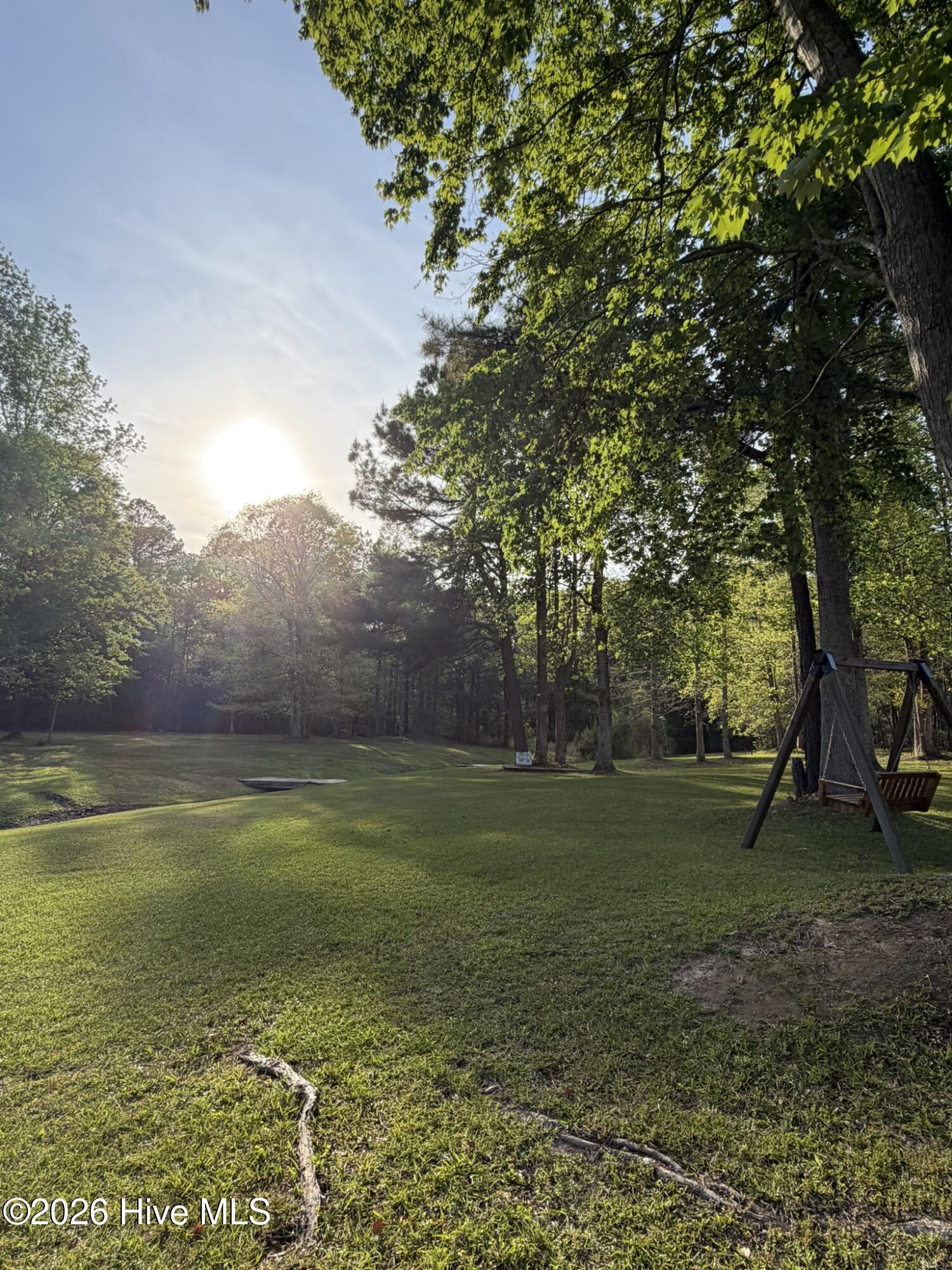 100565225 | Photo 63