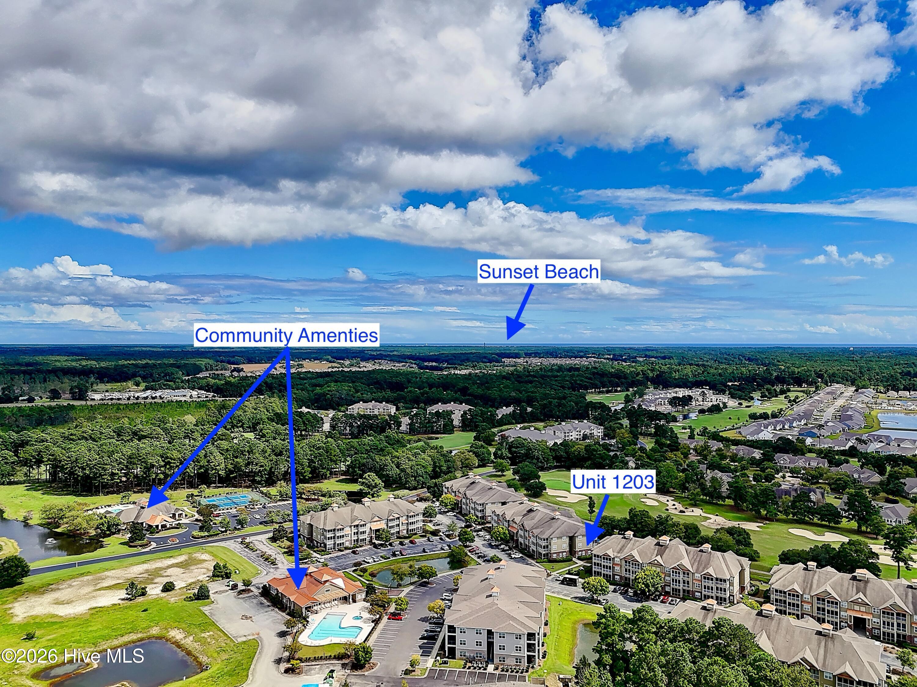 100569684 | Photo 40