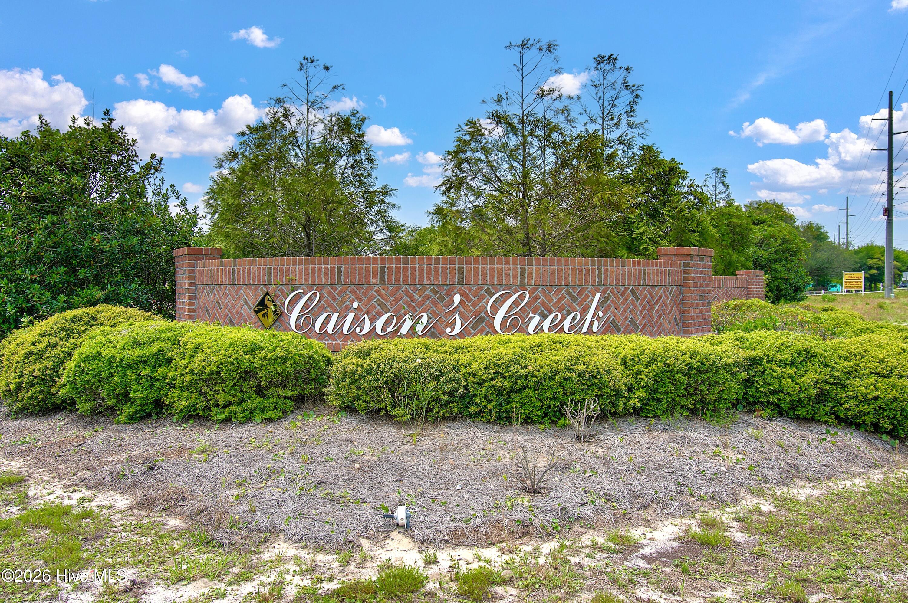 100565017 | Photo 78