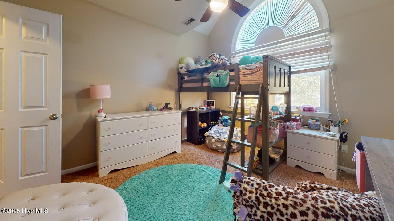 100541217 | Photo 28