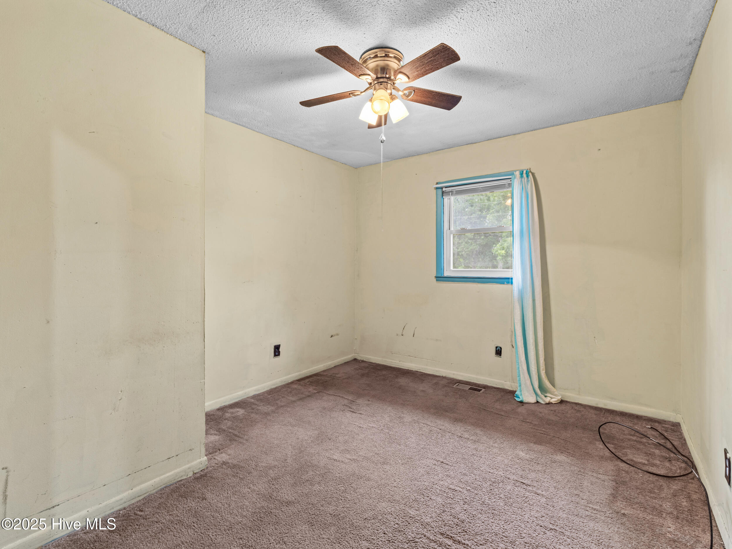 100524273 | Photo 25