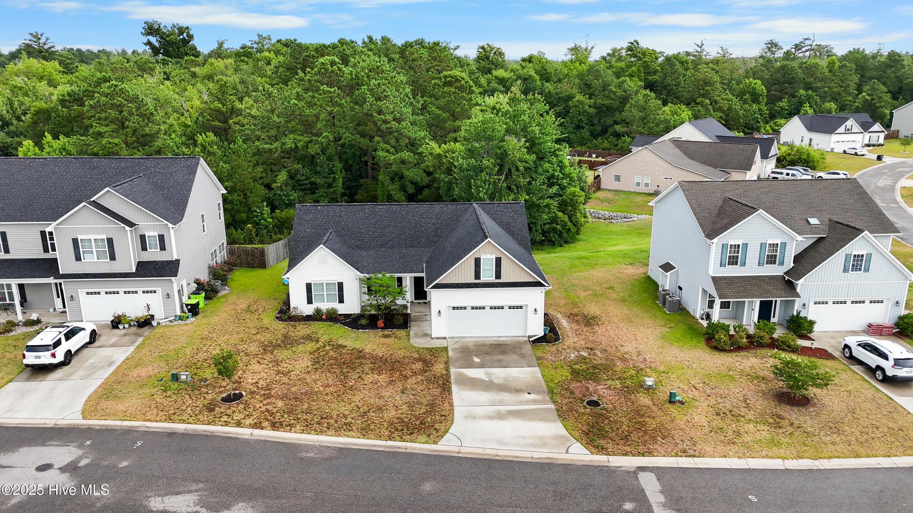 100518721 | Photo 39