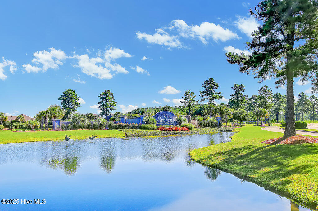 100531684 | Photo 32