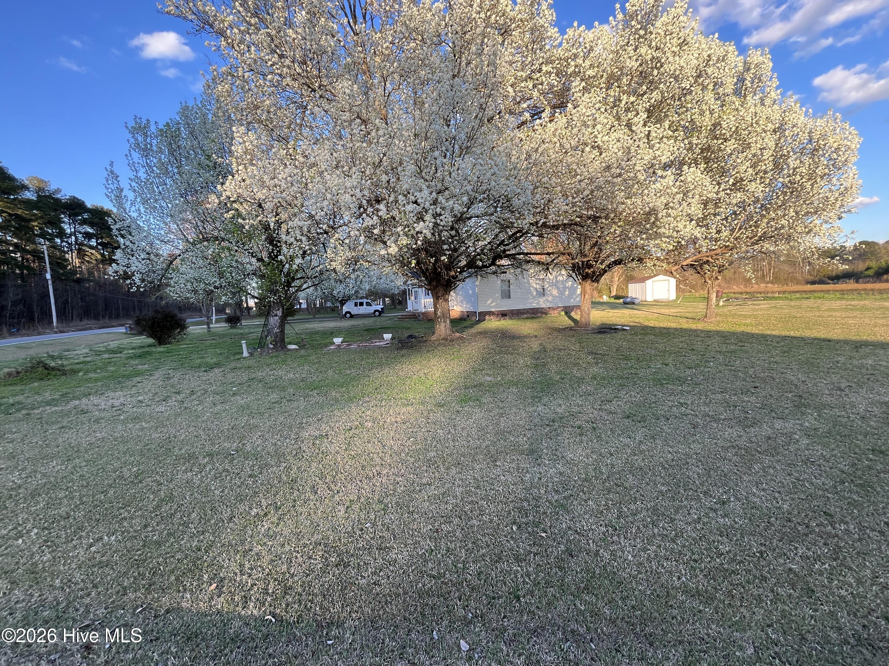 100568963 | Photo 24