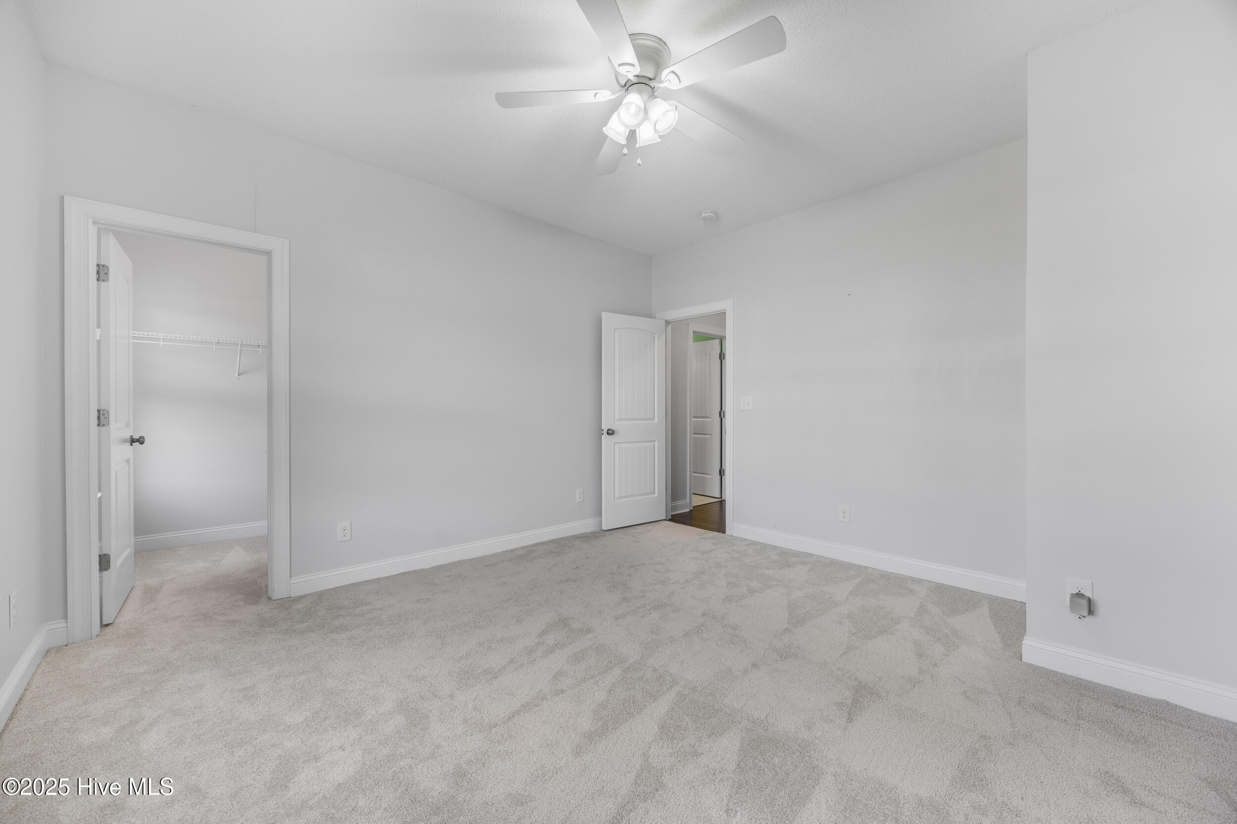 100542328 | Photo 33