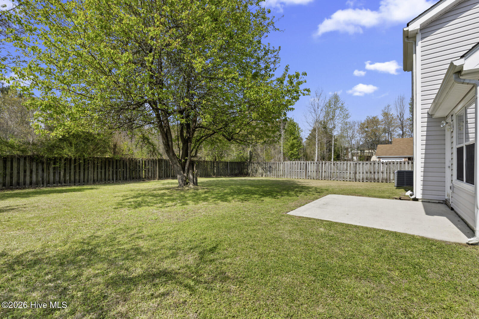 100563642 | Photo 23