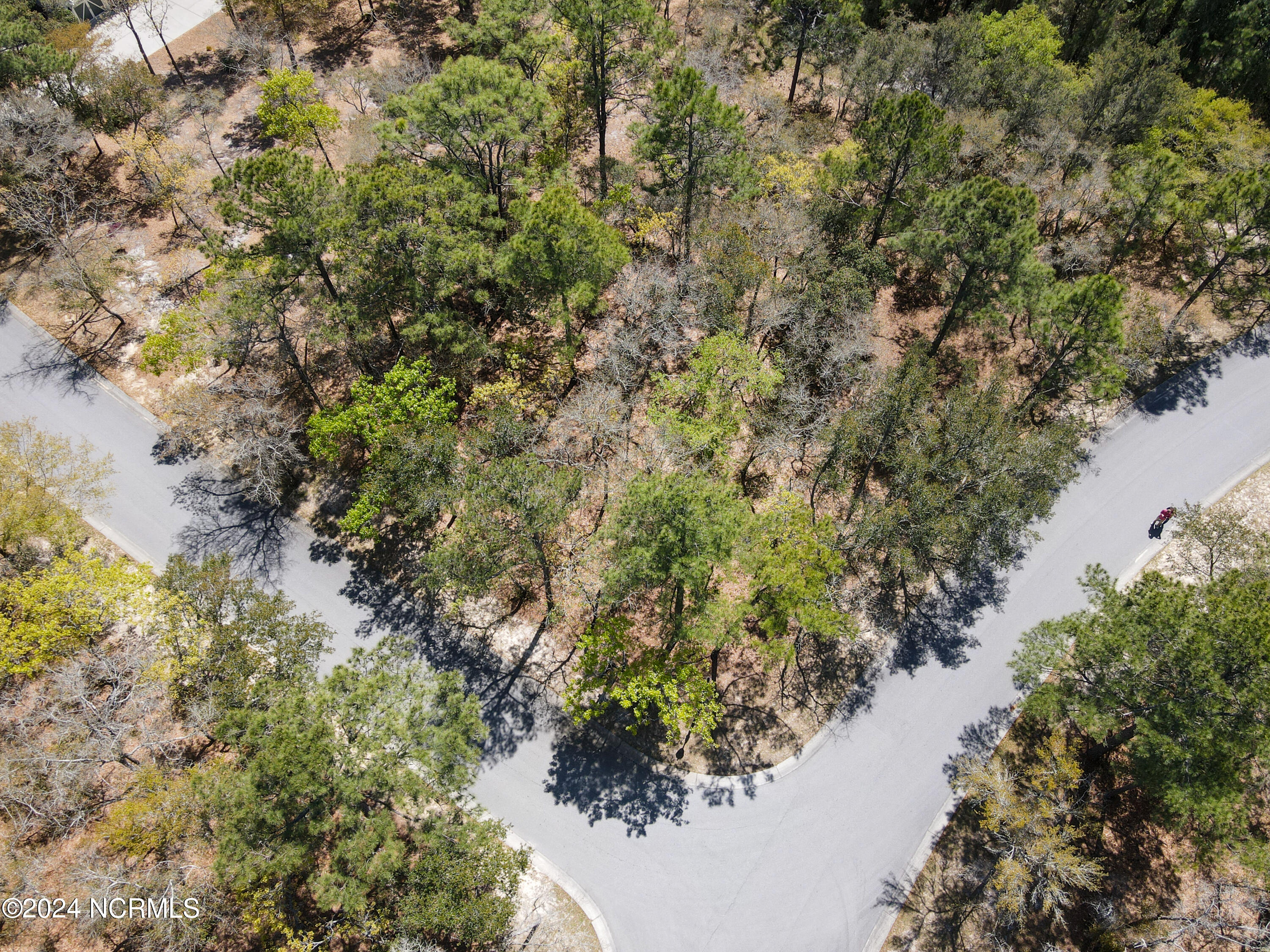 100437832 | Photo 18