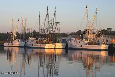 100553746 | Photo 47