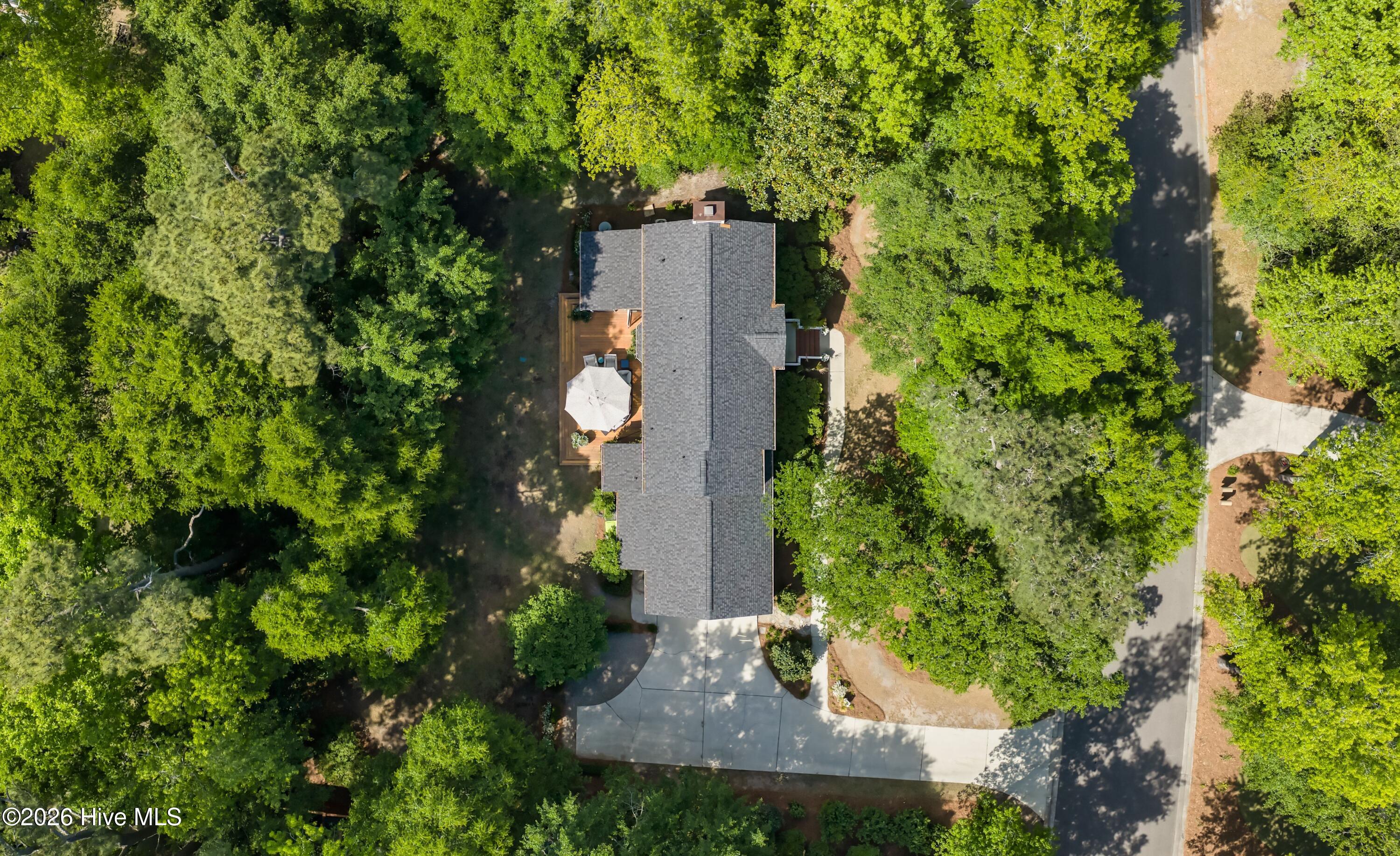 100569392 | Photo 53