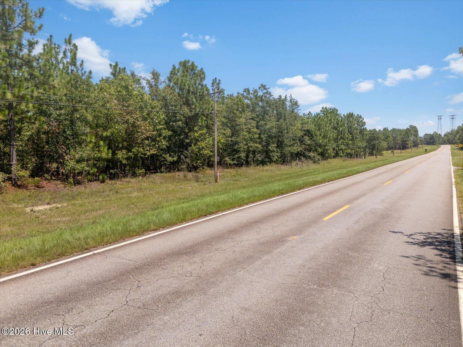 Additional view of road frontage along Hancock Landing Road