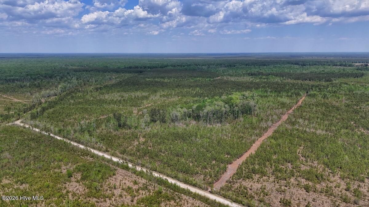 0 Guinea Mill Road, Ernul, NC, 28527