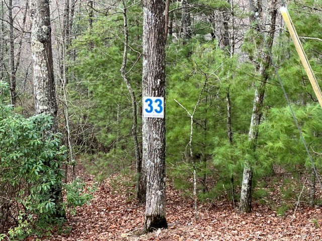 Exterior photo of Lot 33 Sahkanaga Drive, Murphy, NC 28906. MLS: 98544201