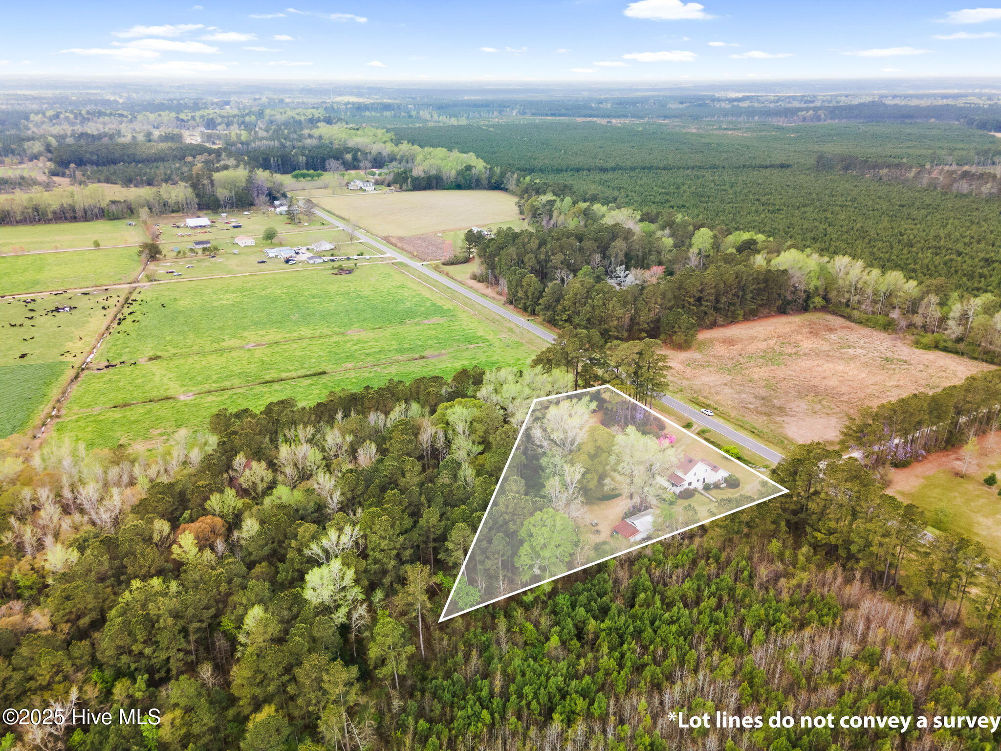 100499054 | Photo 45