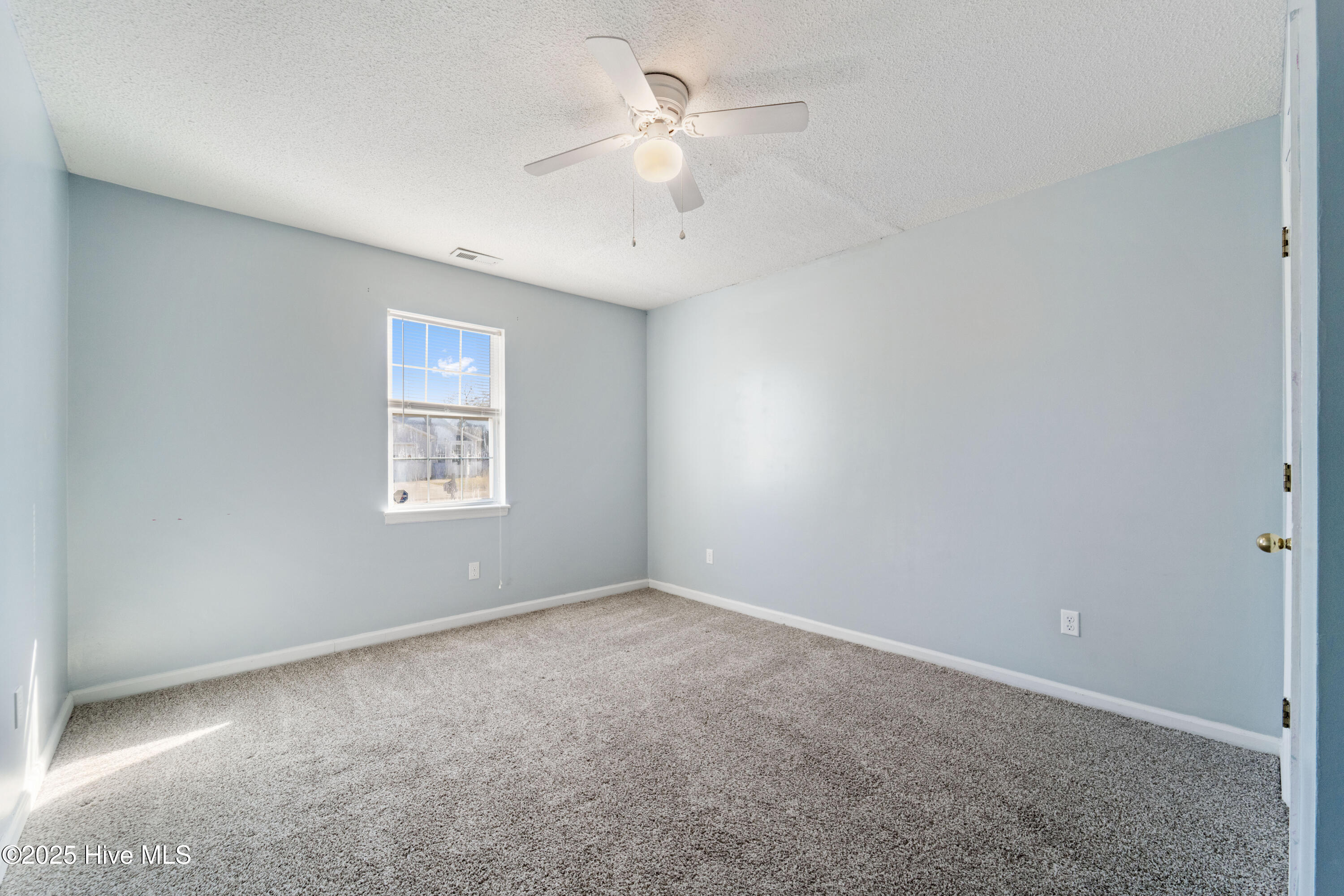 100546102 | Photo 29