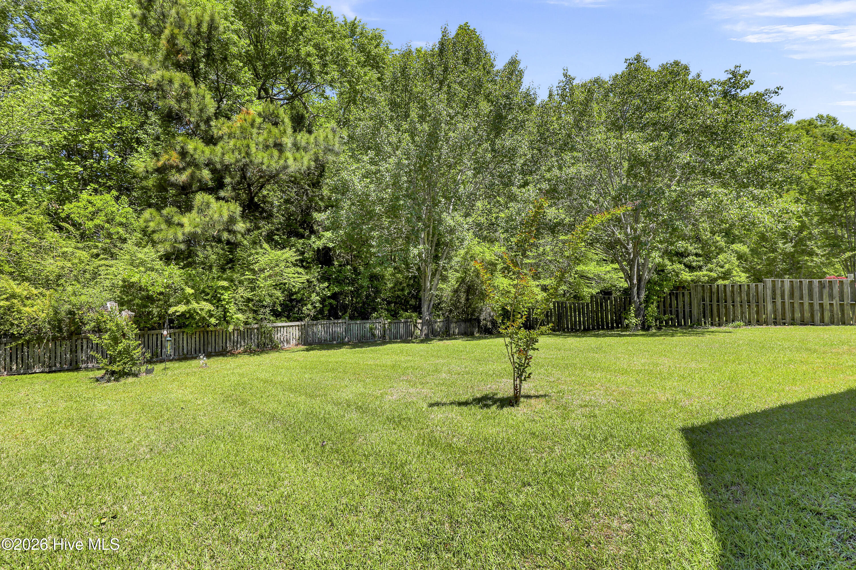 1124 Mill Run Road, Sneads Ferry, NC, 28460