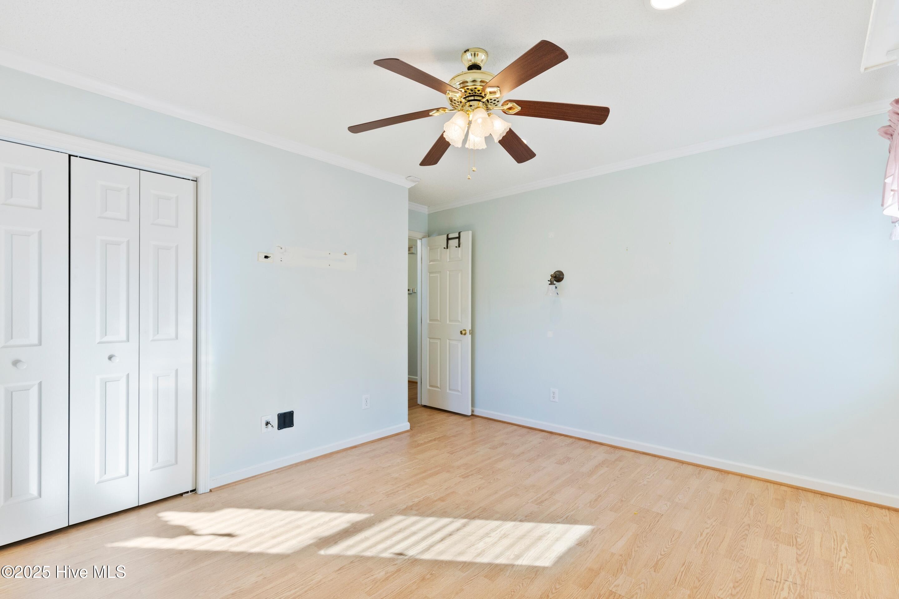 100540586 | Photo 39