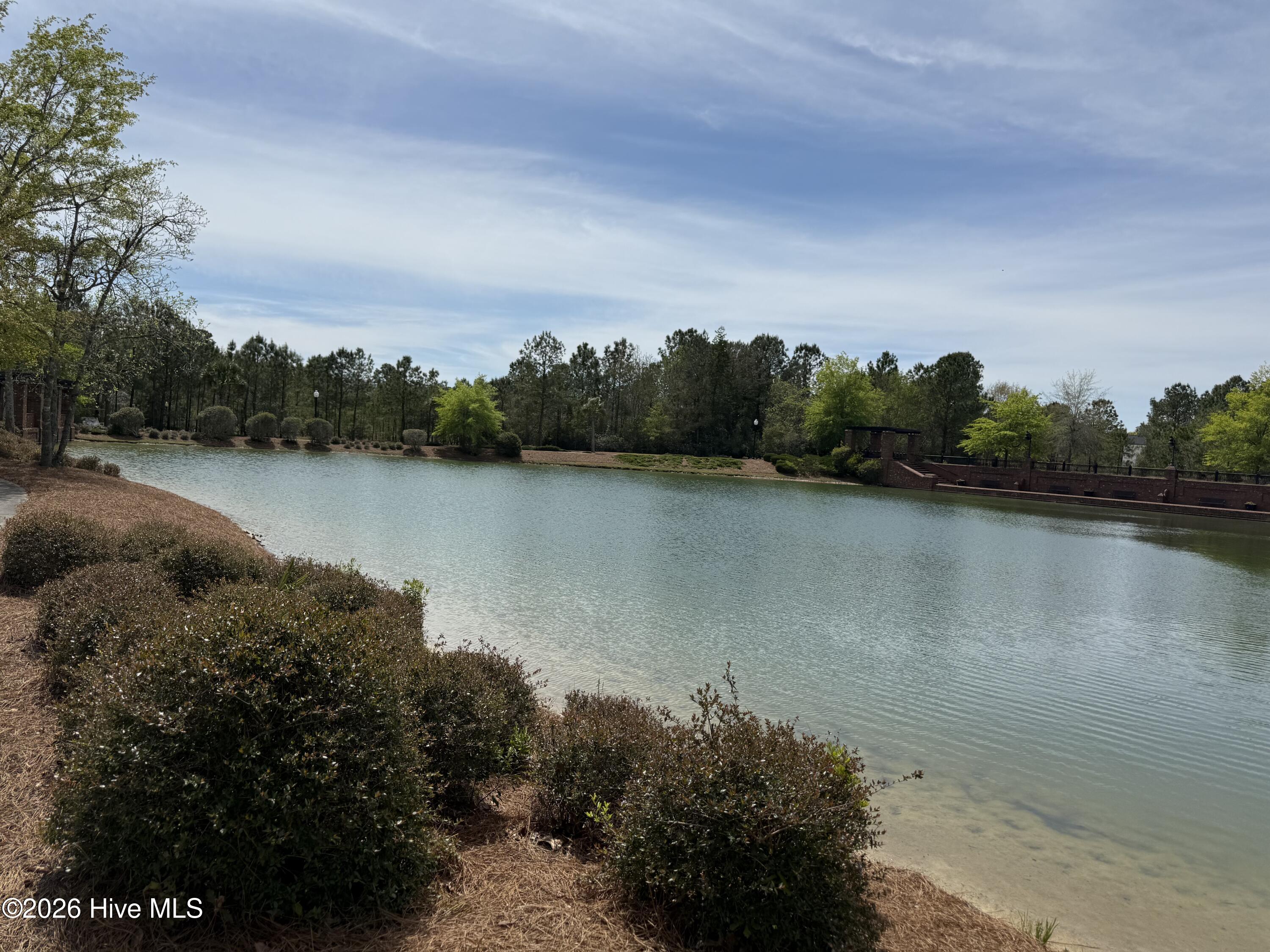 100565810 | Photo 13