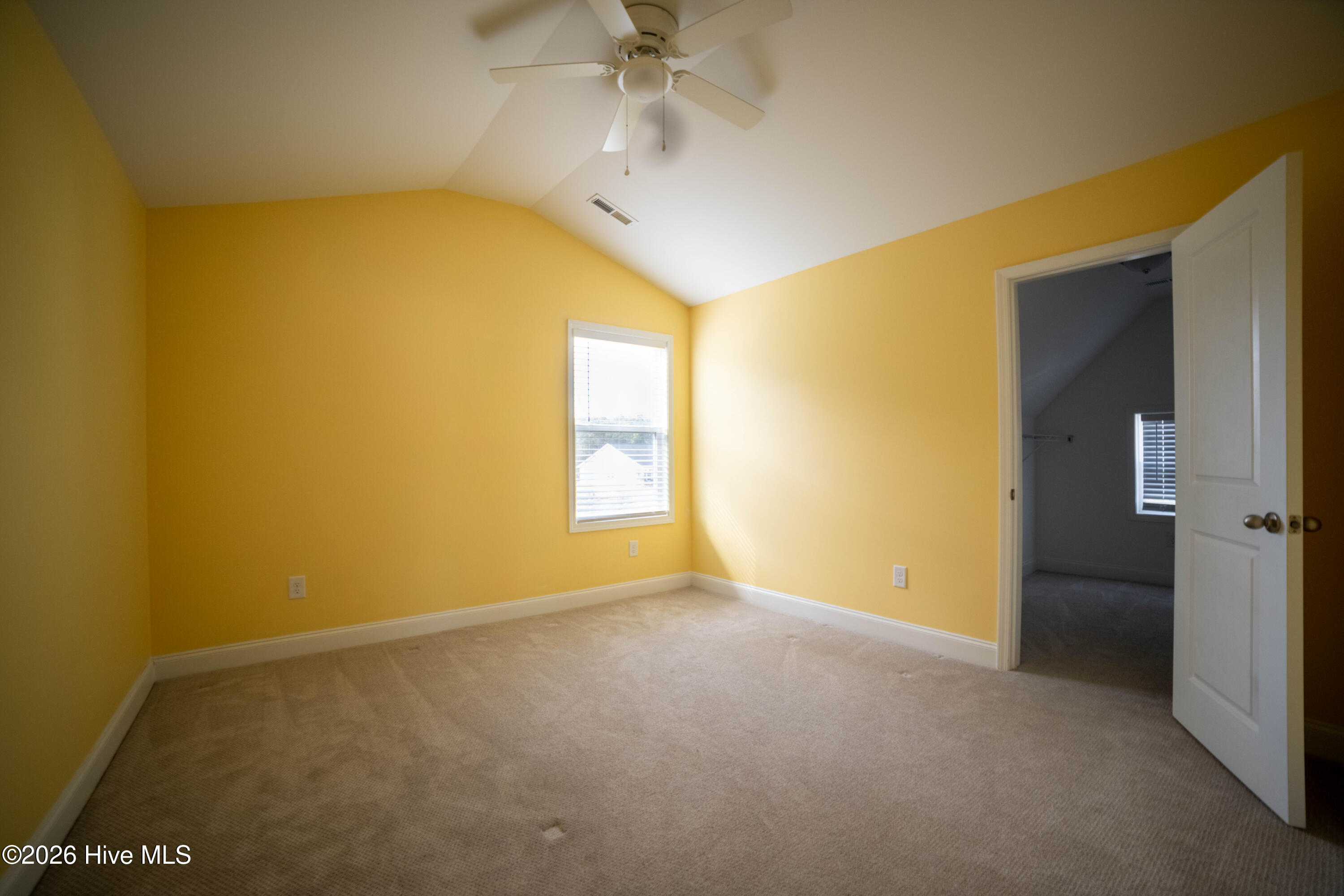 100535849 | Photo 17