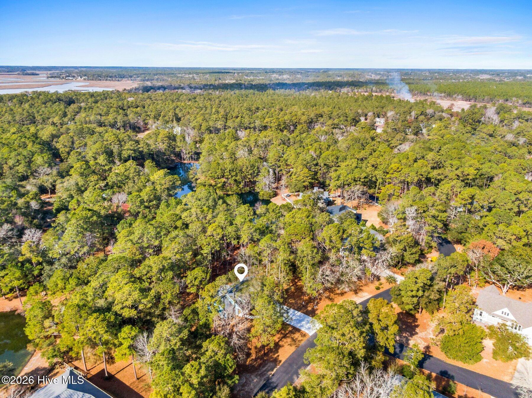 100554265 | Photo 42